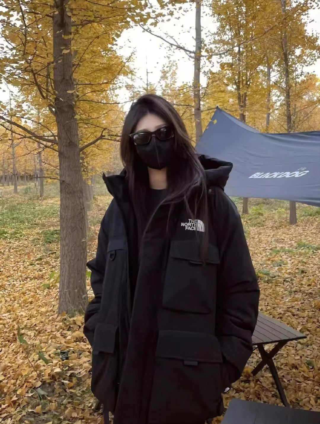 LuxluxHouse Best Quality Clothes The North Face & MLB Coats & Jackets