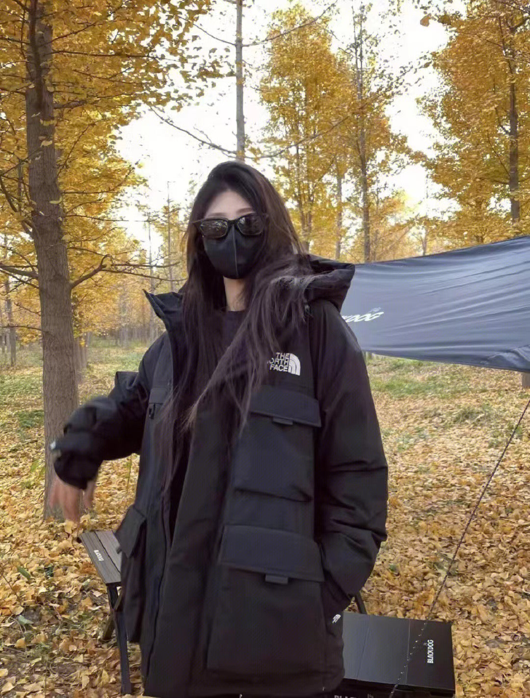 LuxluxHouse Best Quality Clothes The North Face & MLB Coats & Jackets