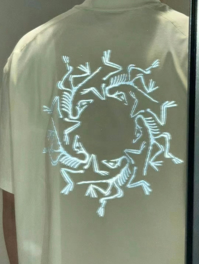 LuxluxHouse Best Quality Clothes T-shirt Arcteryx