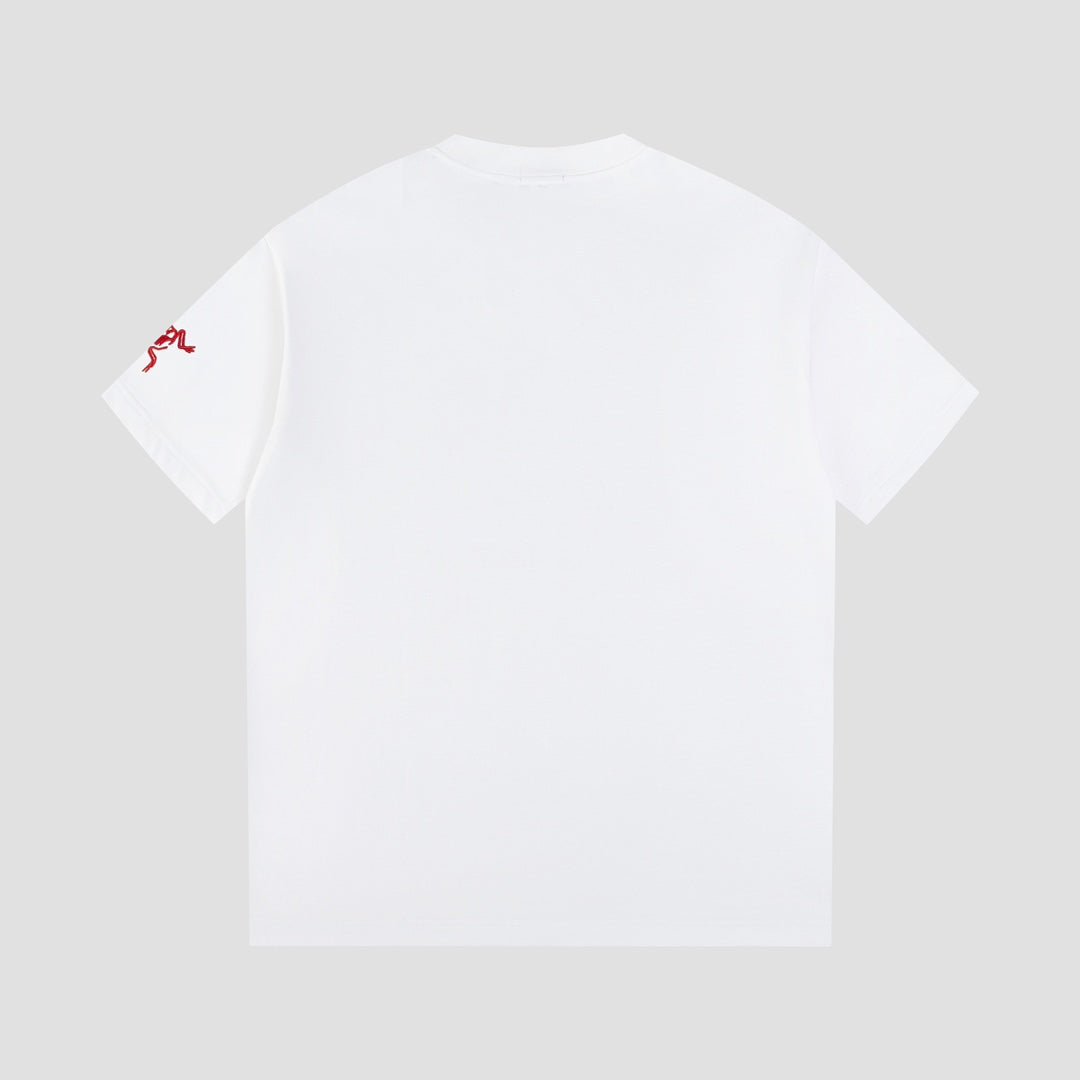 LuxluxHouse Best Quality Clothes T-shirt Arcteryx