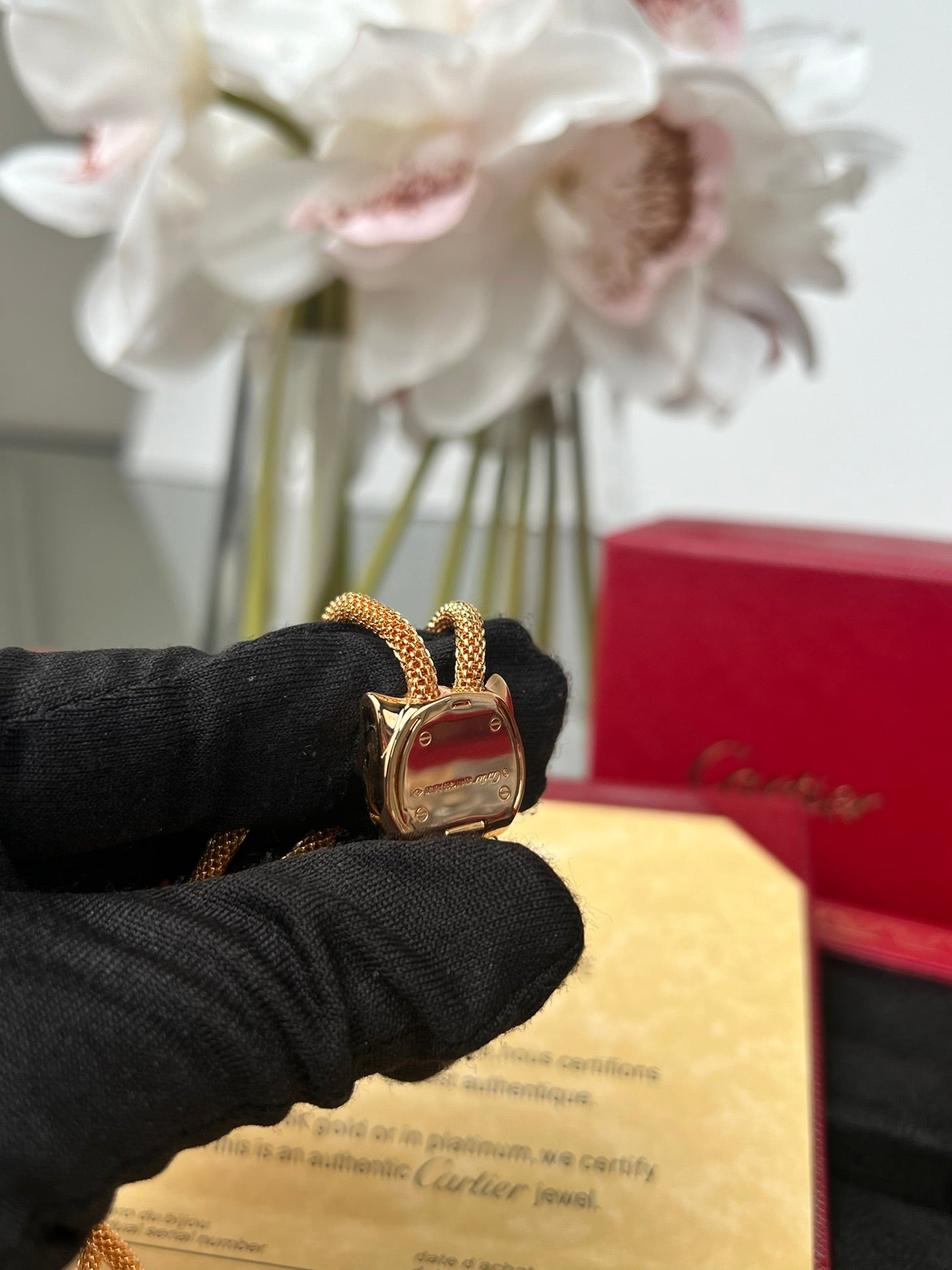 LuxluxHouse Best Quality Accessories Necklace Cartier