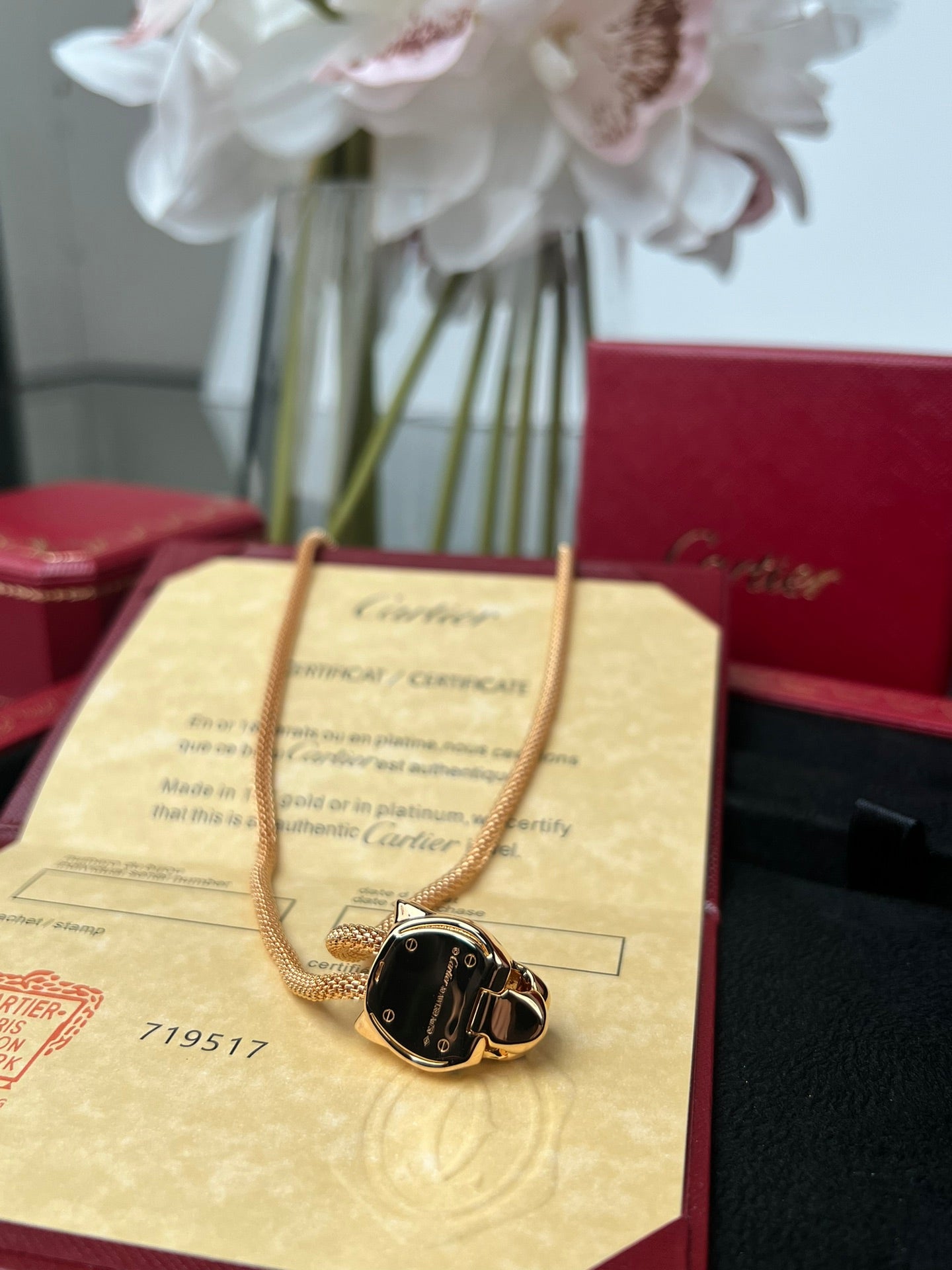 LuxluxHouse Best Quality Accessories Necklace Cartier