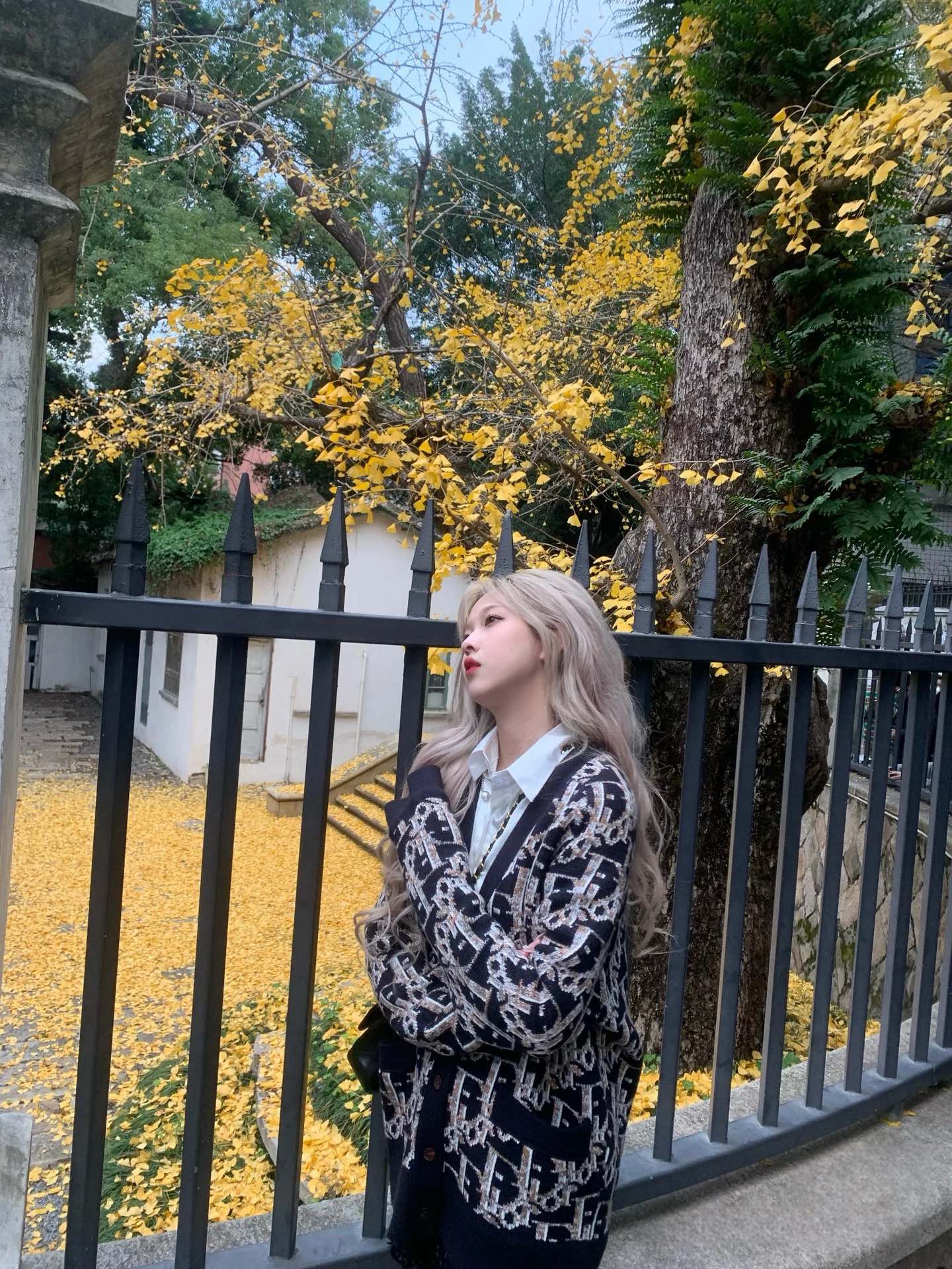 LuxluxHouse Best Quality Clothes Hoodie & Sweater Dior