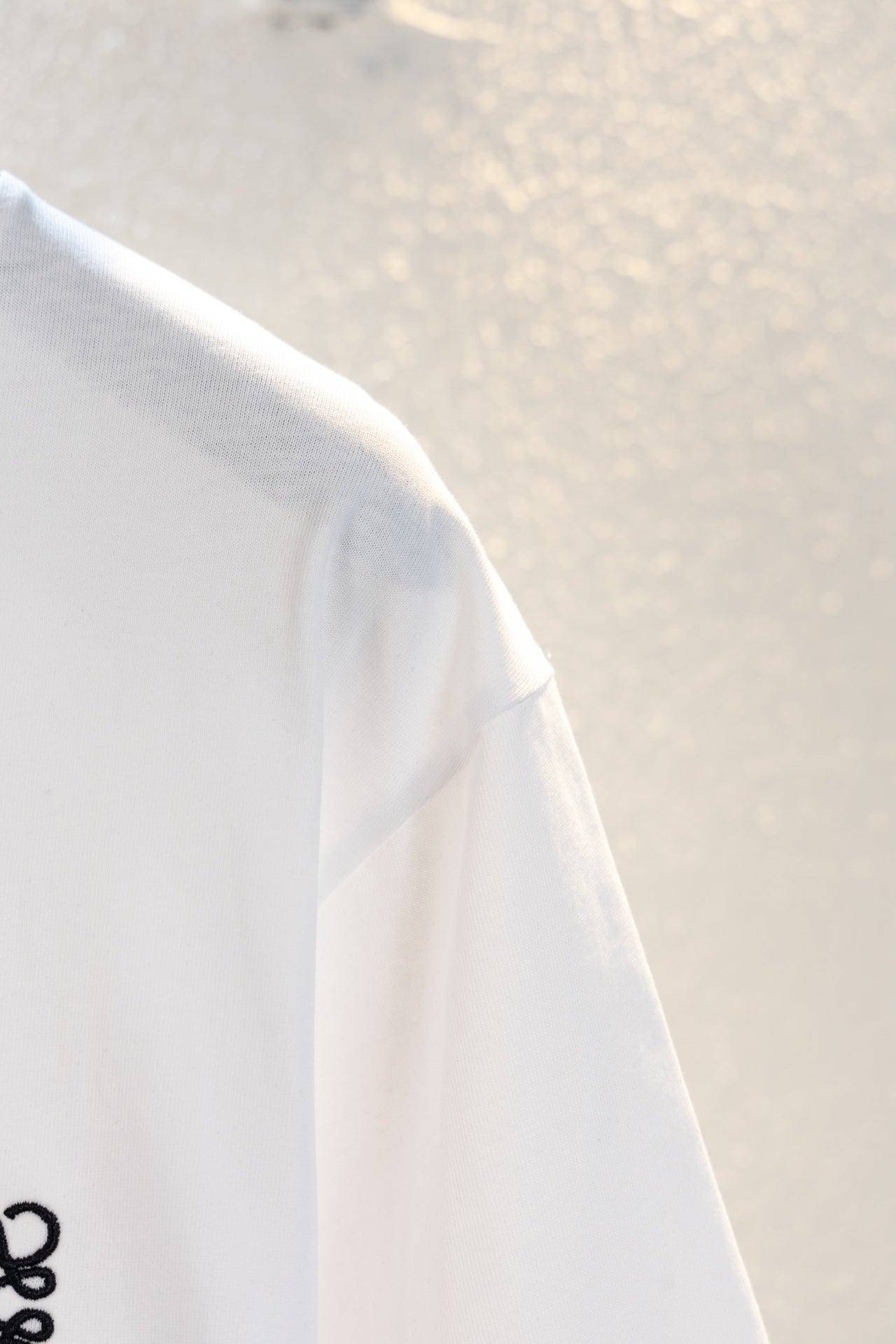 LuxluxHouse Best Quality Clothes T-shirt Loewe