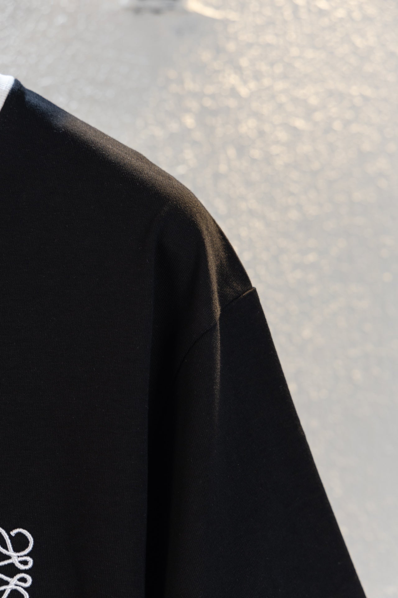 LuxluxHouse Best Quality Clothes T-shirt Loewe