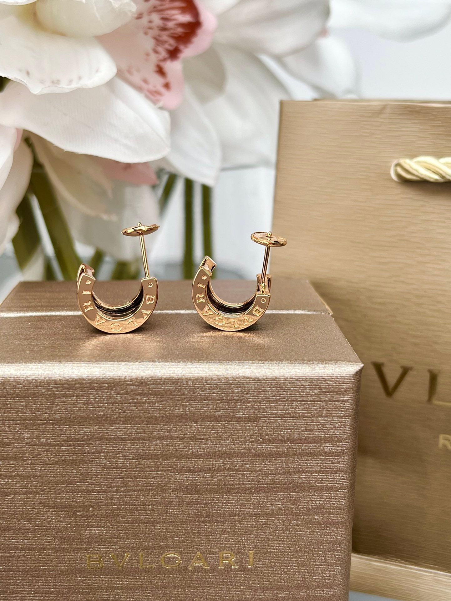 LuxluxHouse Best Quality Accessories Earrings Bvlgari