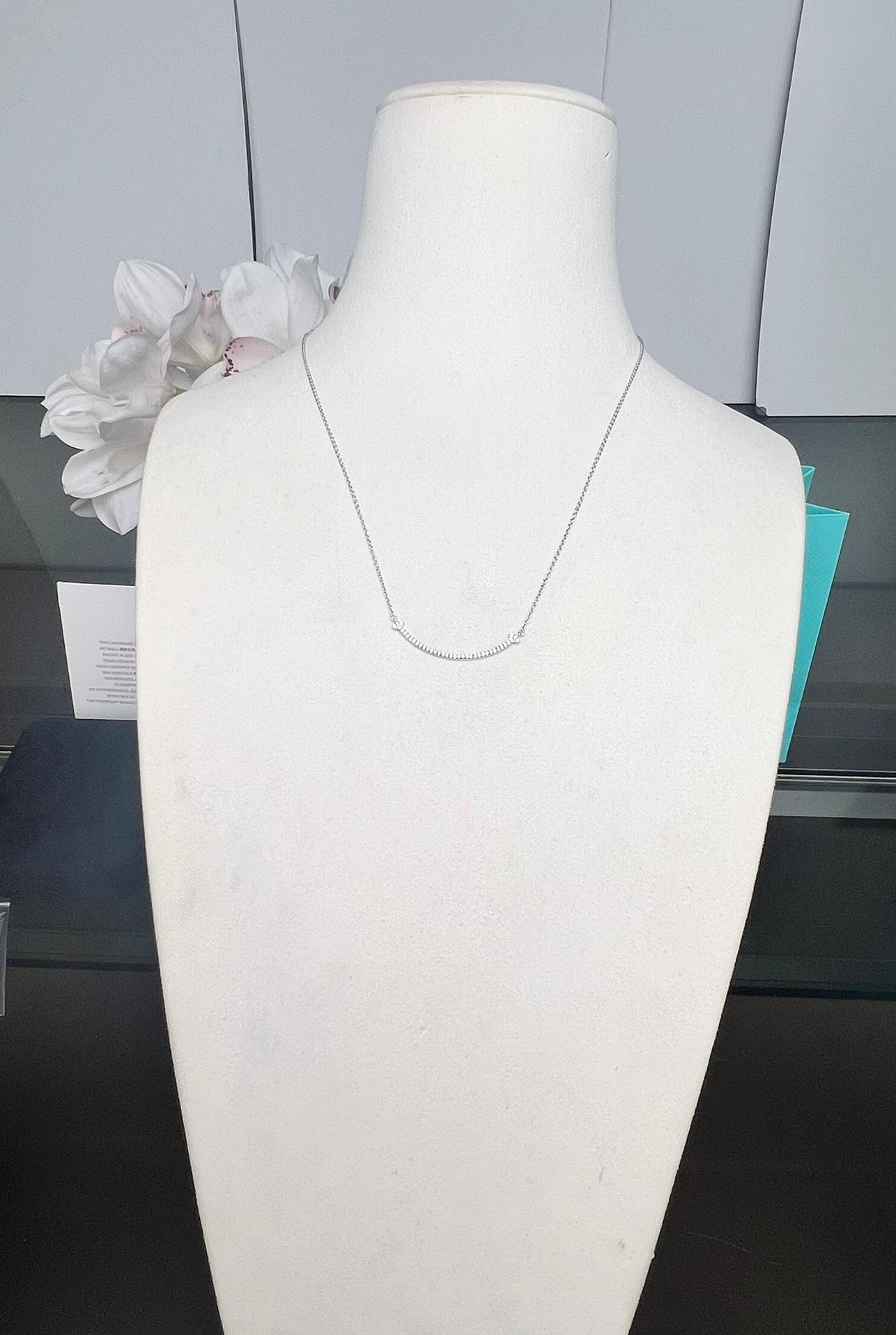 LuxluxHouse Best Quality Accessories Tiffany Necklace