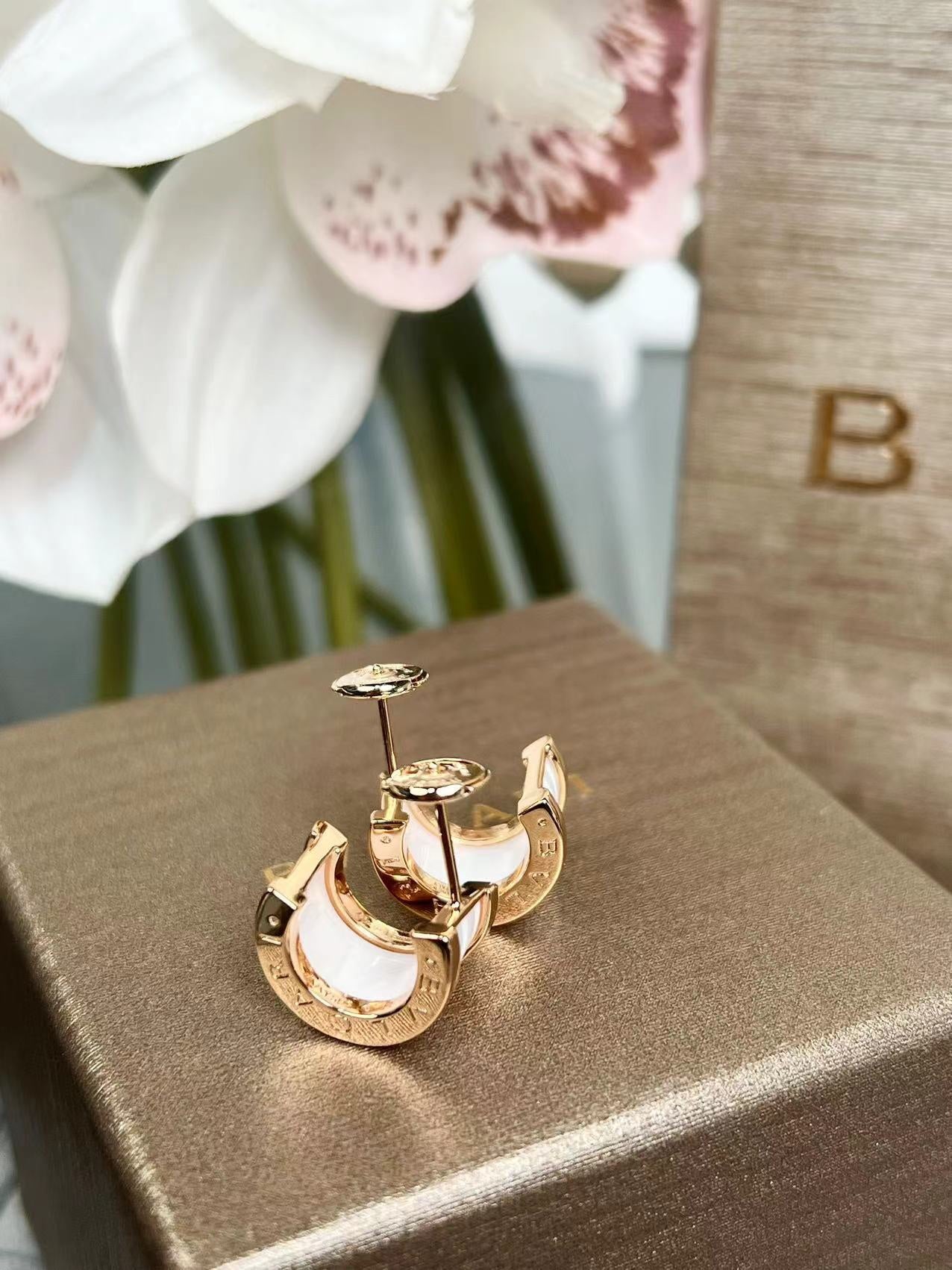 LuxluxHouse Best Quality Accessories Earrings Bvlgari