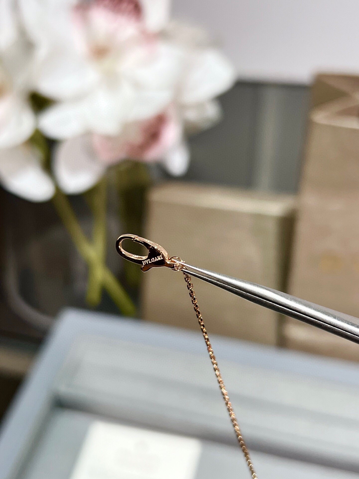 LuxluxHouse Best Quality Accessories Necklace Bvlgari