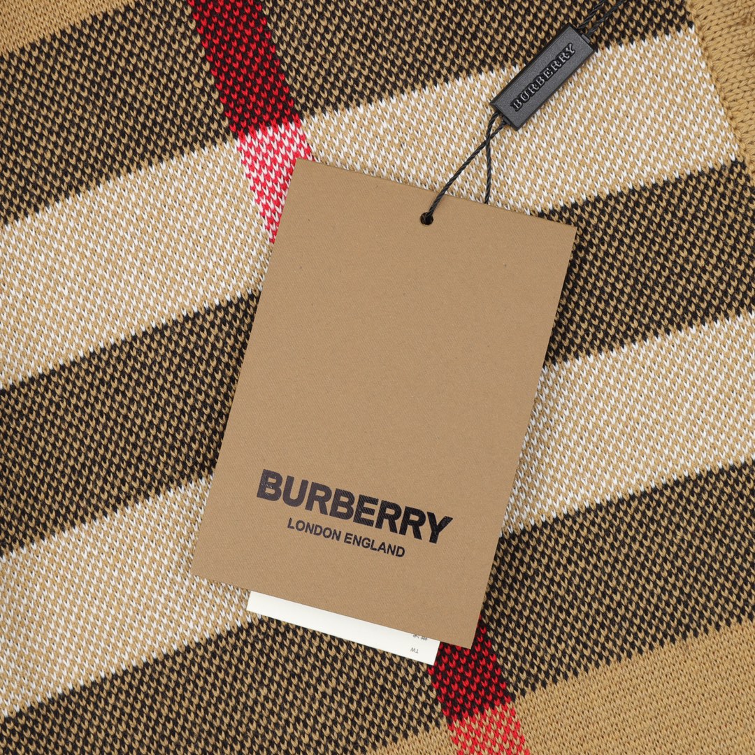LuxluxHouse Best Quality Clothes Burberry Hoodie & Sweater