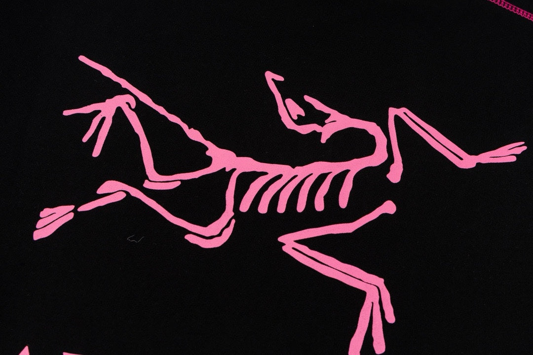 LuxluxHouse Best Quality Clothes T-shirt Arcteryx