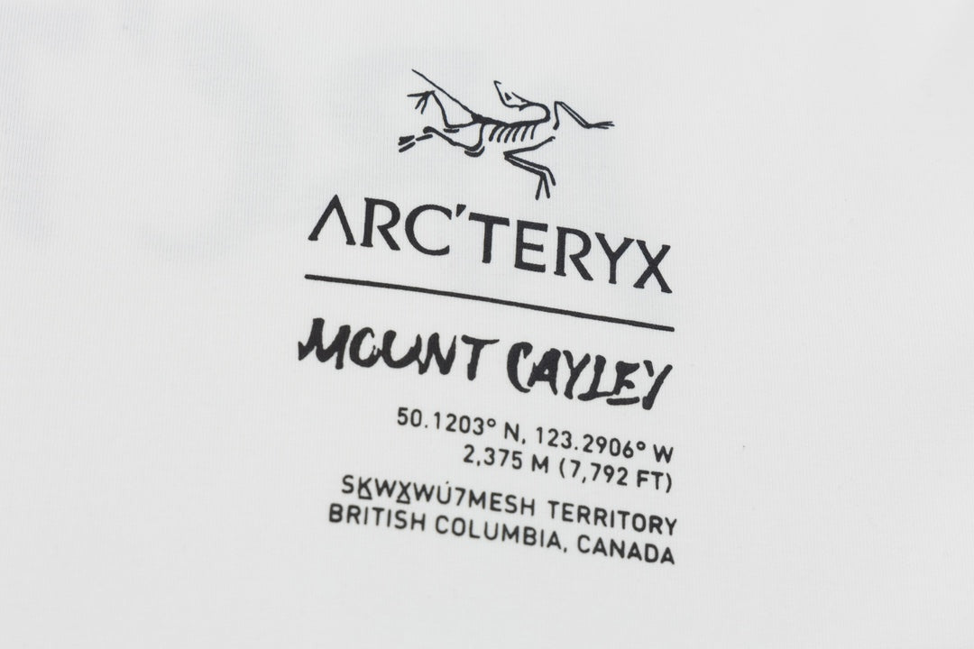 LuxluxHouse Best Quality Clothes T-shirt Arcteryx