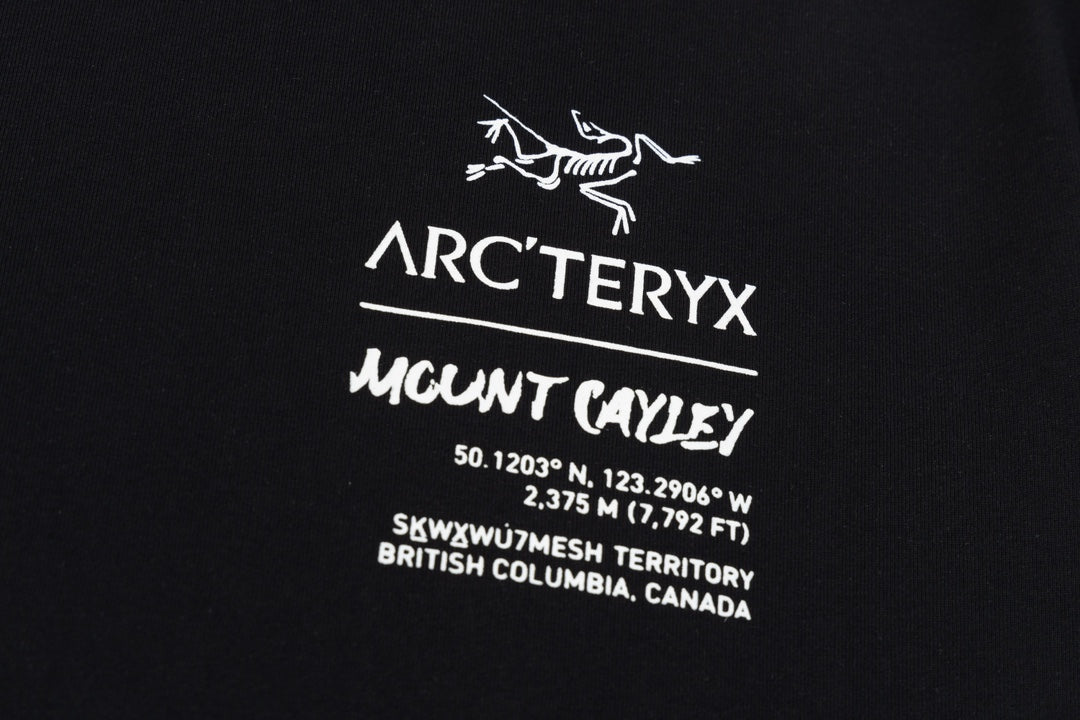 LuxluxHouse Best Quality Clothes T-shirt Arcteryx