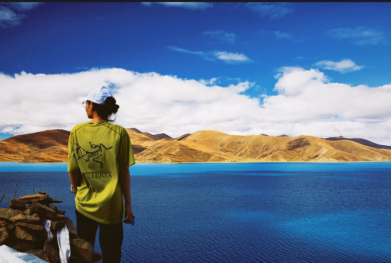 LuxluxHouse Best Quality Clothes T-shirt Arcteryx