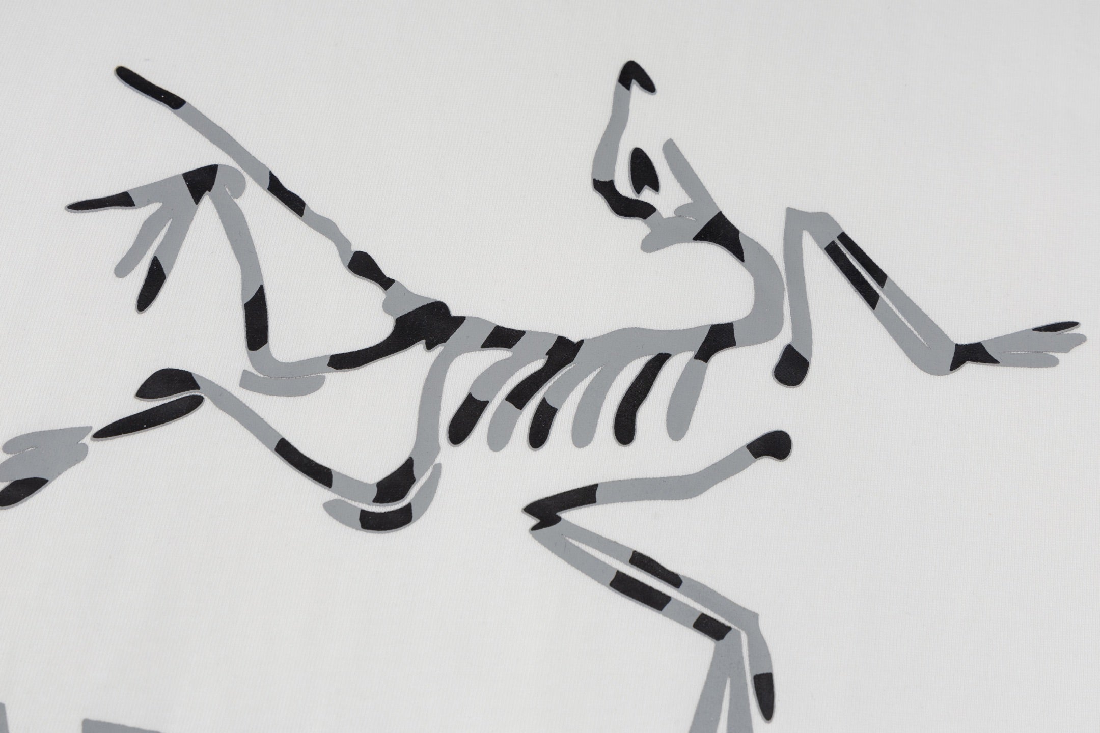 LuxluxHouse Best Quality Clothes T-shirt Arcteryx