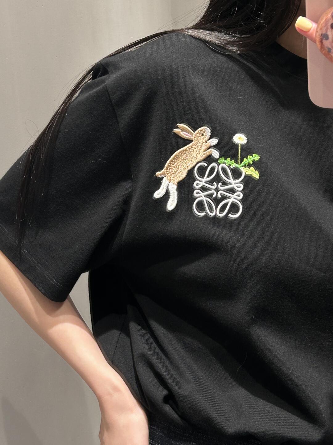 LuxluxHouse Best Quality Clothes T-shirt Loewe