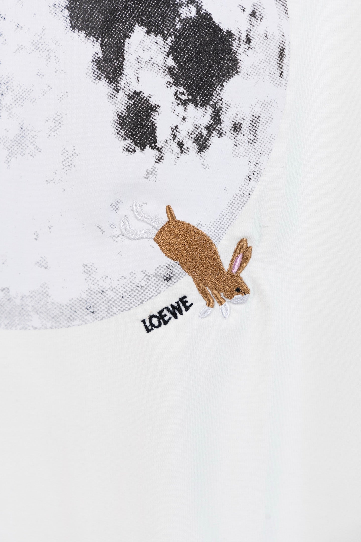 LuxluxHouse Best Quality Clothes T-shirt Loewe