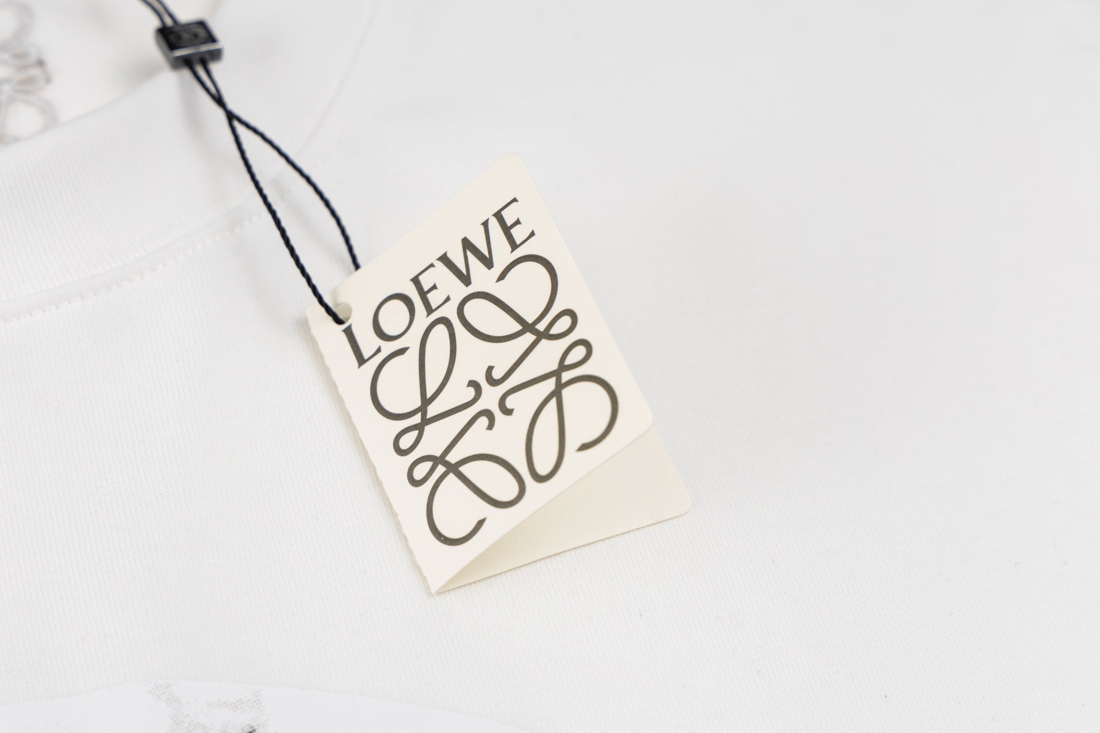 LuxluxHouse Best Quality Clothes T-shirt Loewe