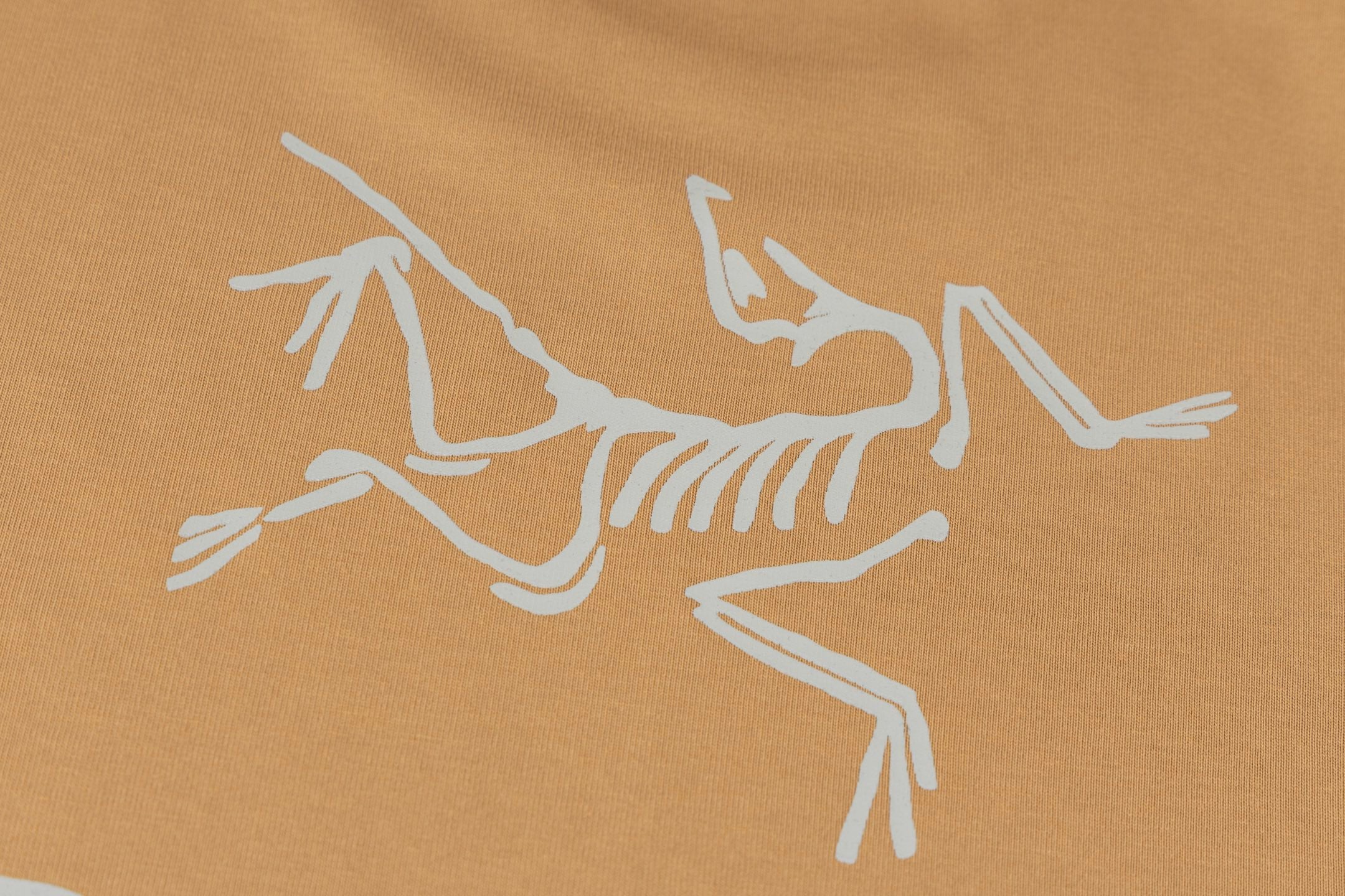 LuxluxHouse Best Quality Clothes T-shirt Arcteryx