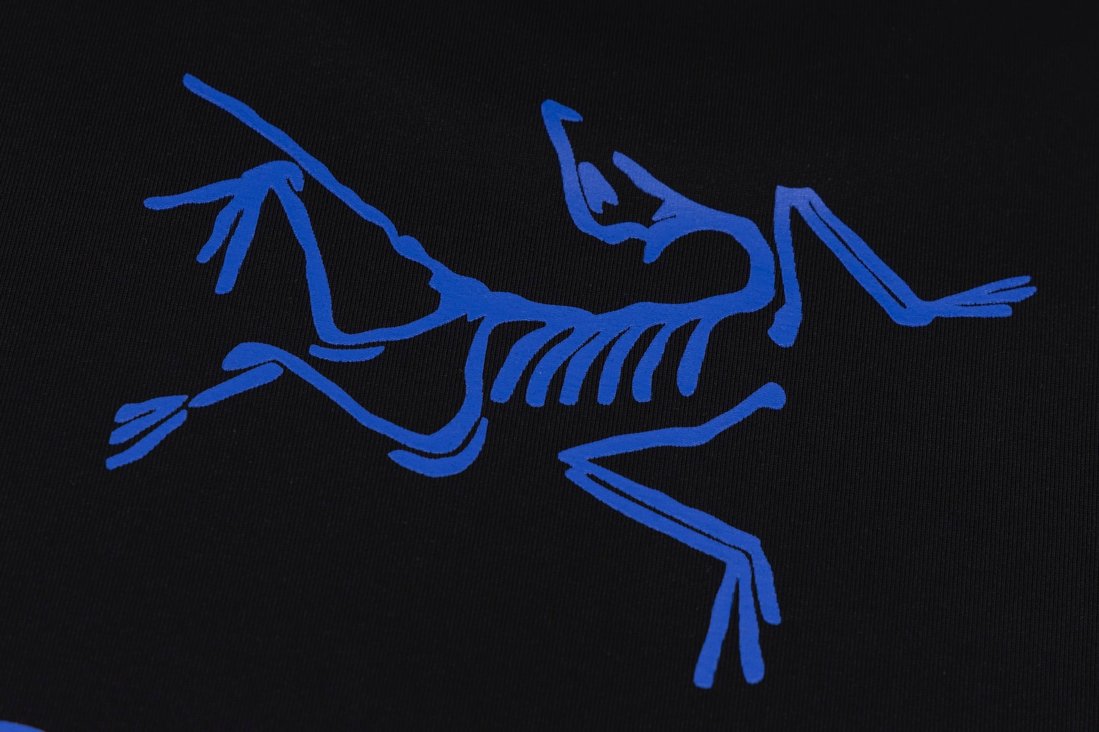 LuxluxHouse Best Quality Clothes T-shirt Arcteryx