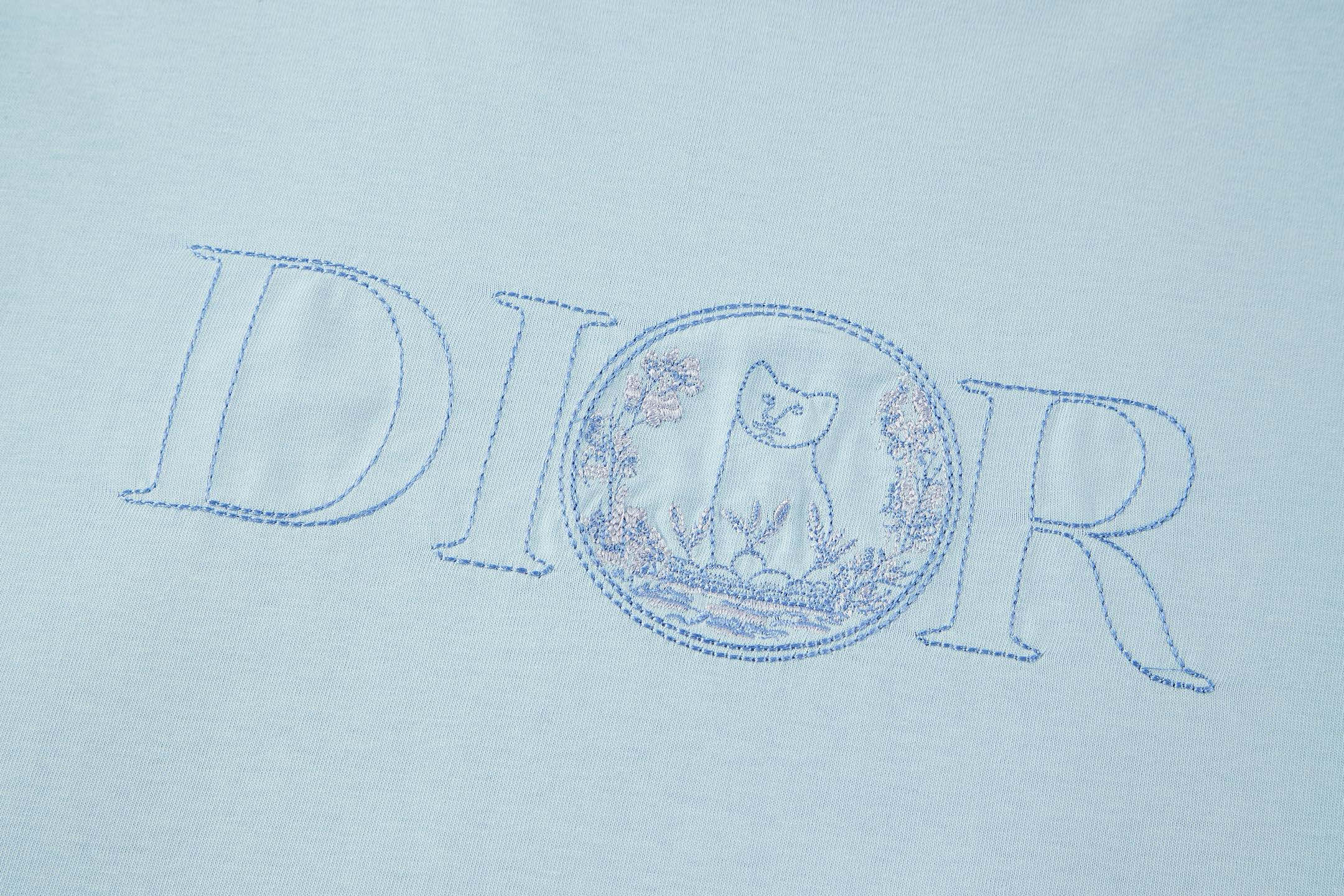 LuxluxHouse Best Quality Clothes T-shirt Dior
