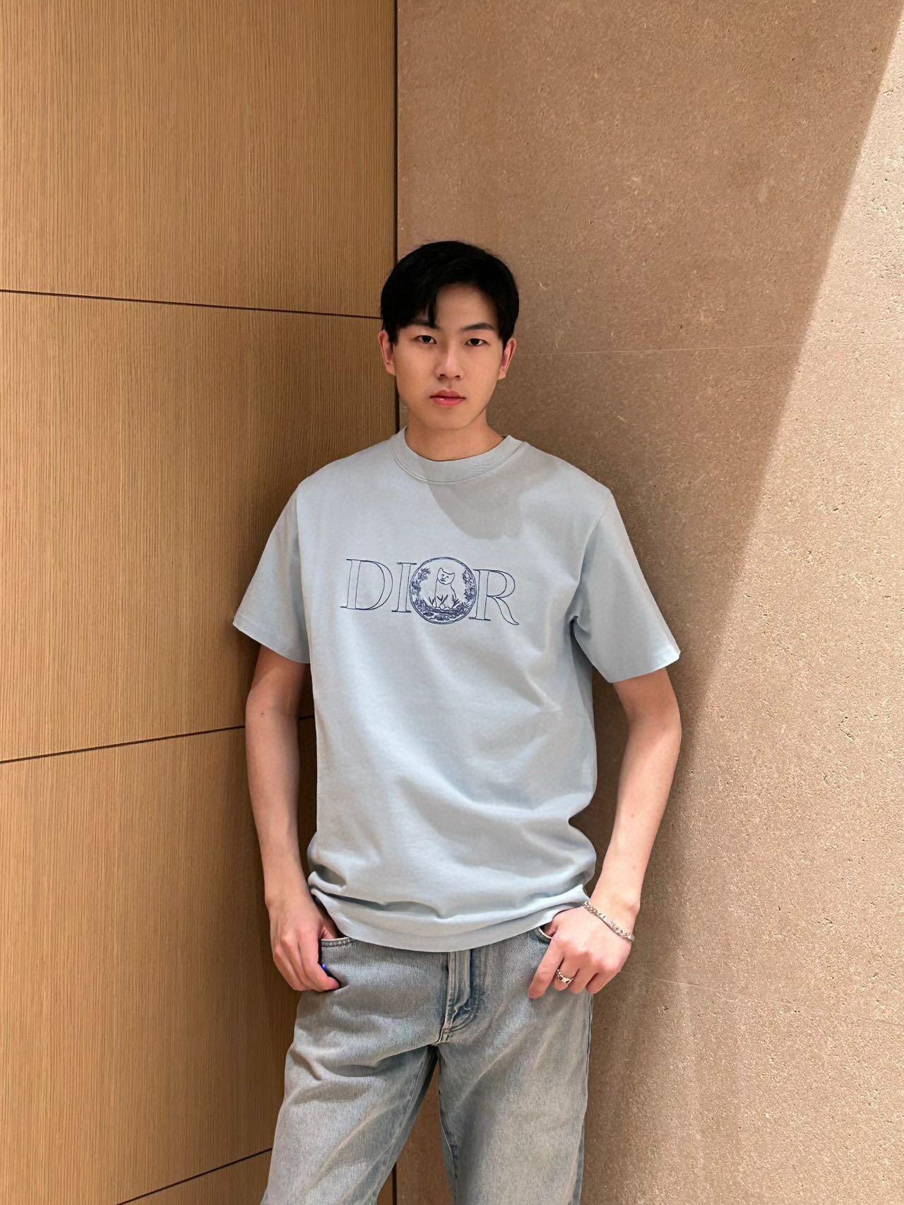 LuxluxHouse Best Quality Clothes T-shirt Dior