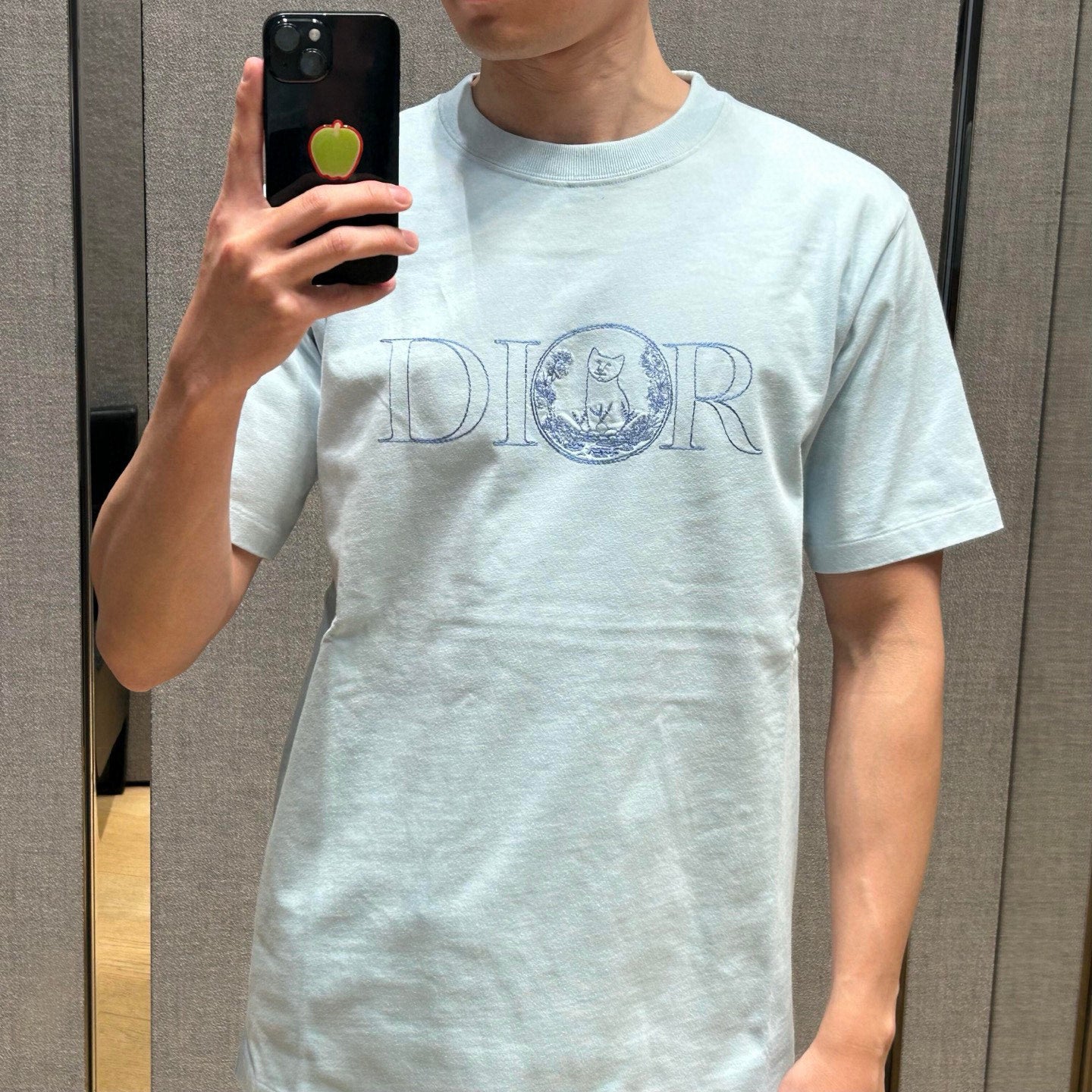 LuxluxHouse Best Quality Clothes T-shirt Dior