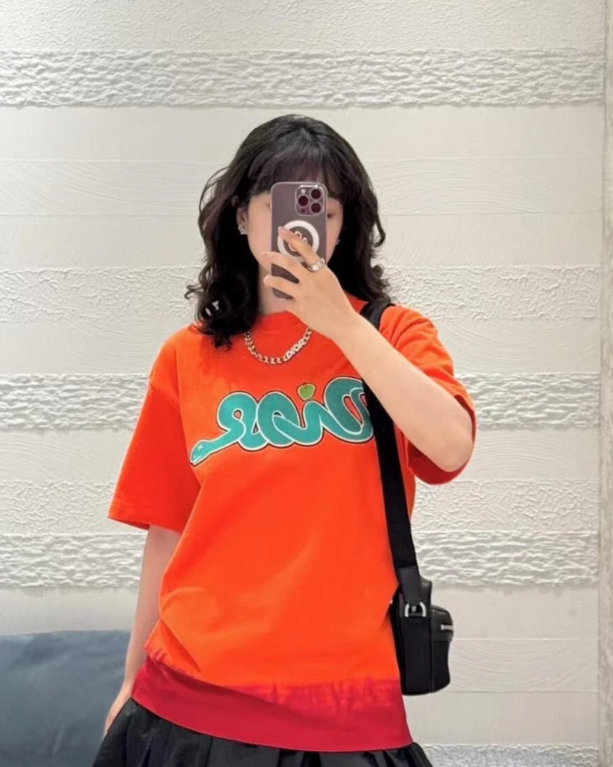 LuxluxHouse Best Quality Clothes T-shirt Dior