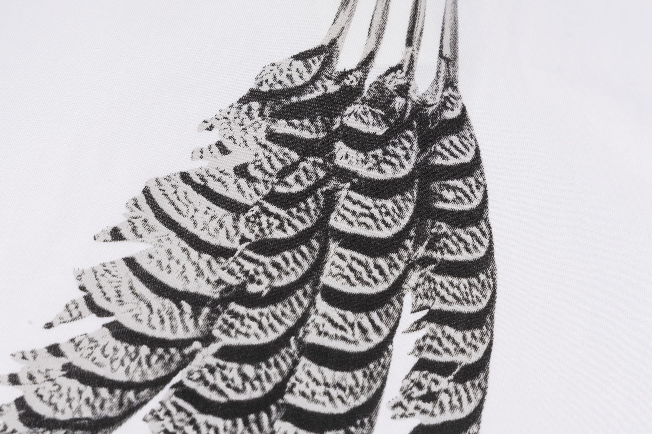 LuxluxHouse Best Quality Clothes T-shirt Loewe