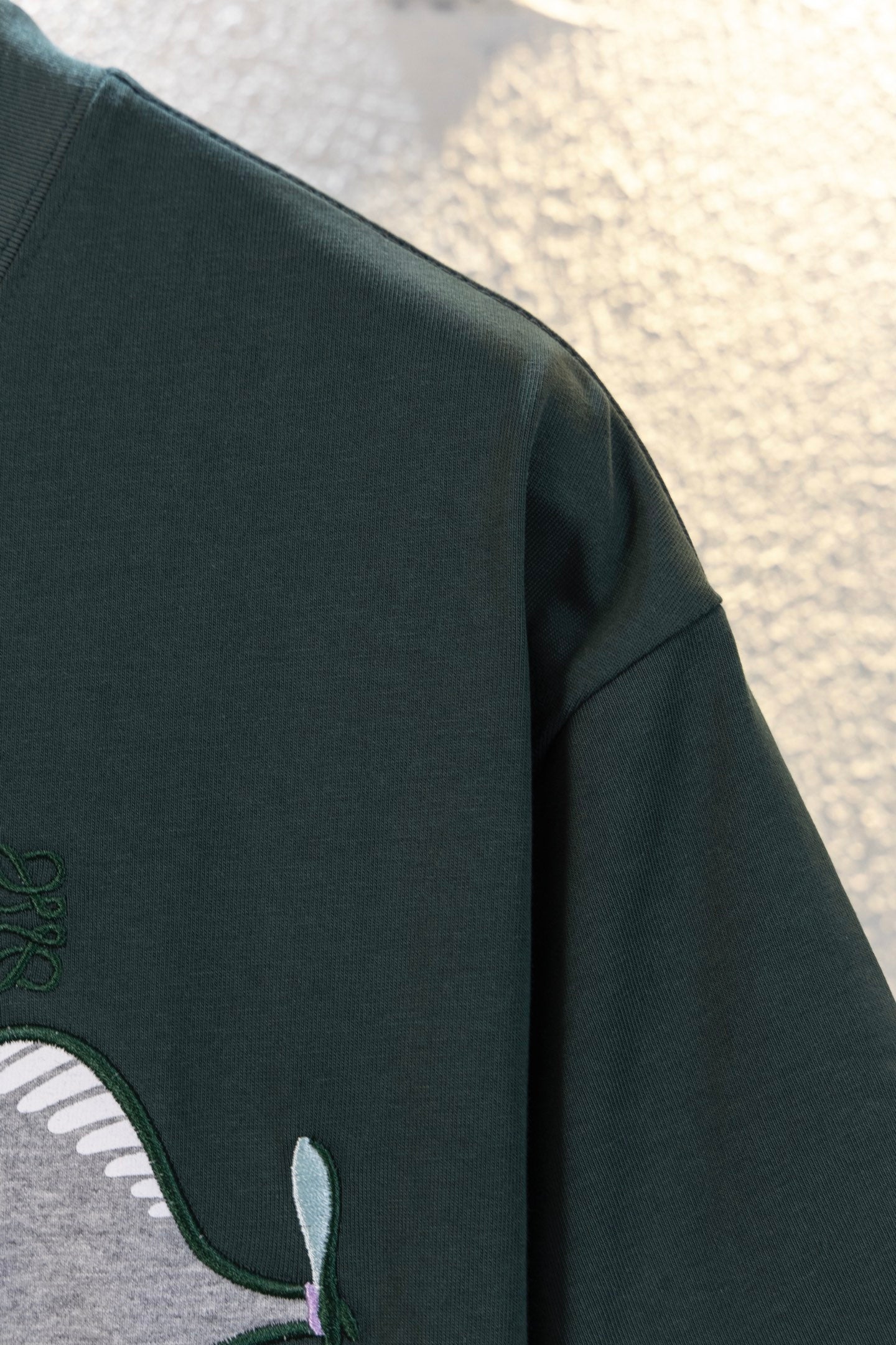 LuxluxHouse Best Quality Clothes T-shirt Loewe