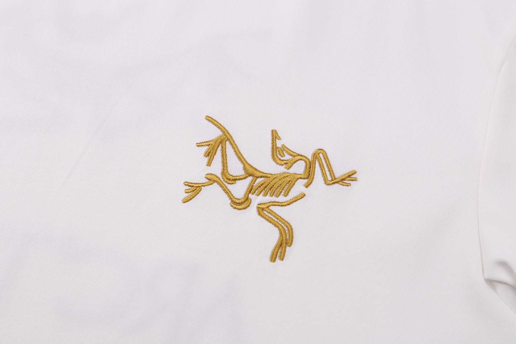 LuxluxHouse Best Quality Clothes T-shirt Arcteryx