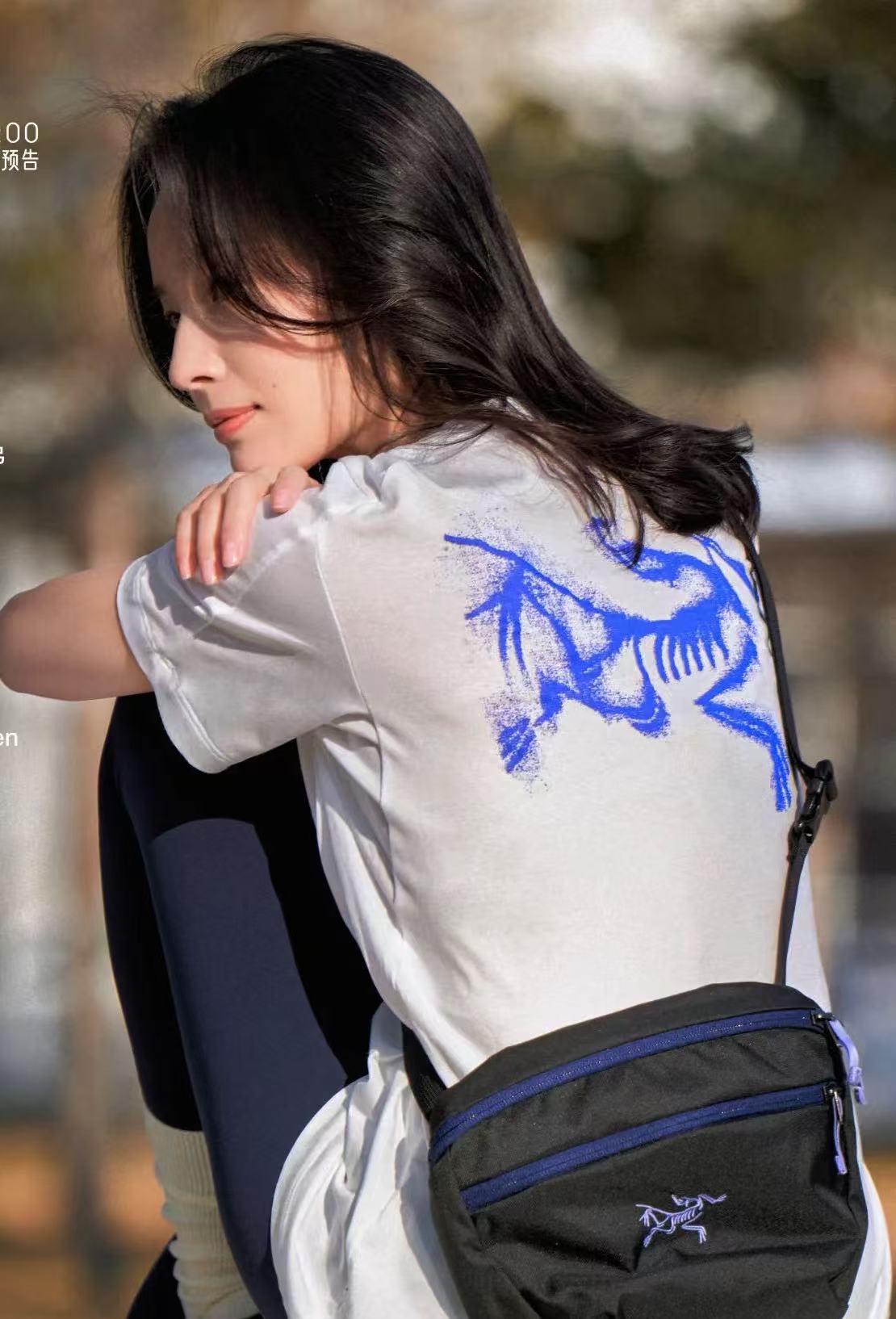 LuxluxHouse Best Quality Clothes T-shirt Arcteryx