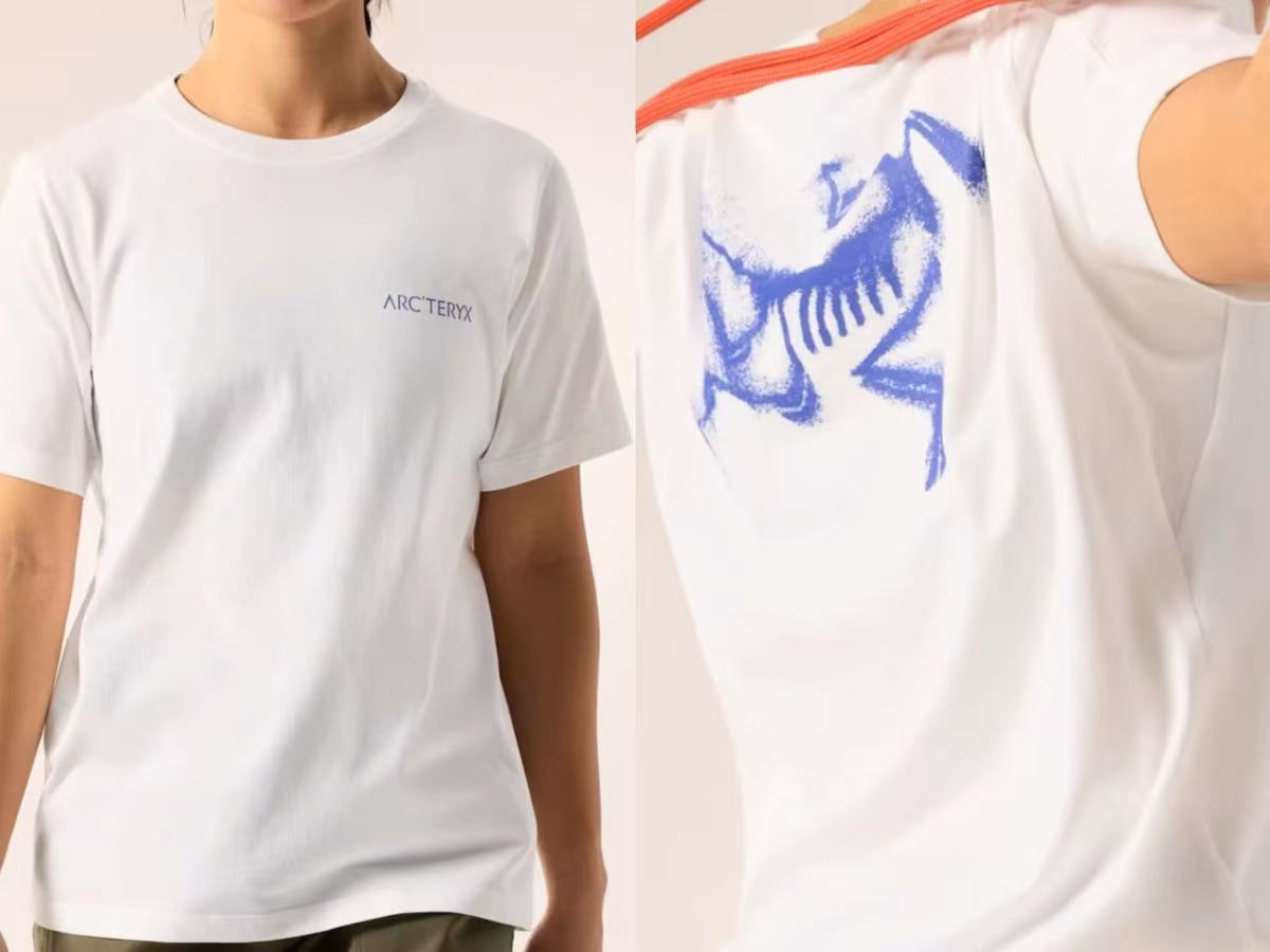LuxluxHouse Best Quality Clothes T-shirt Arcteryx
