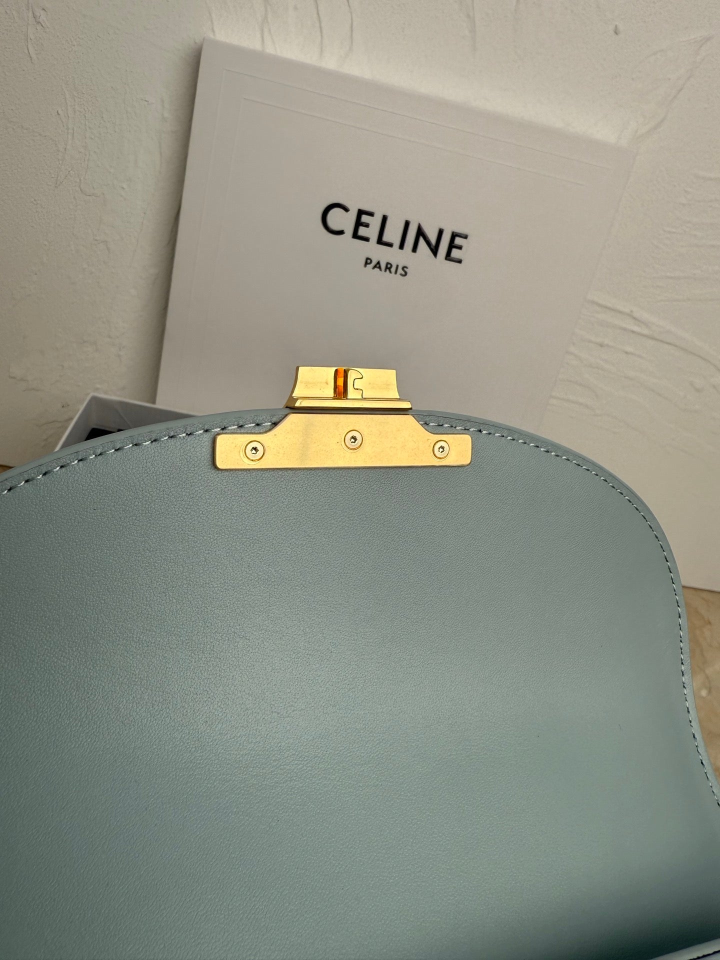 LuxluxHouse Best Quality Bags Celine Women