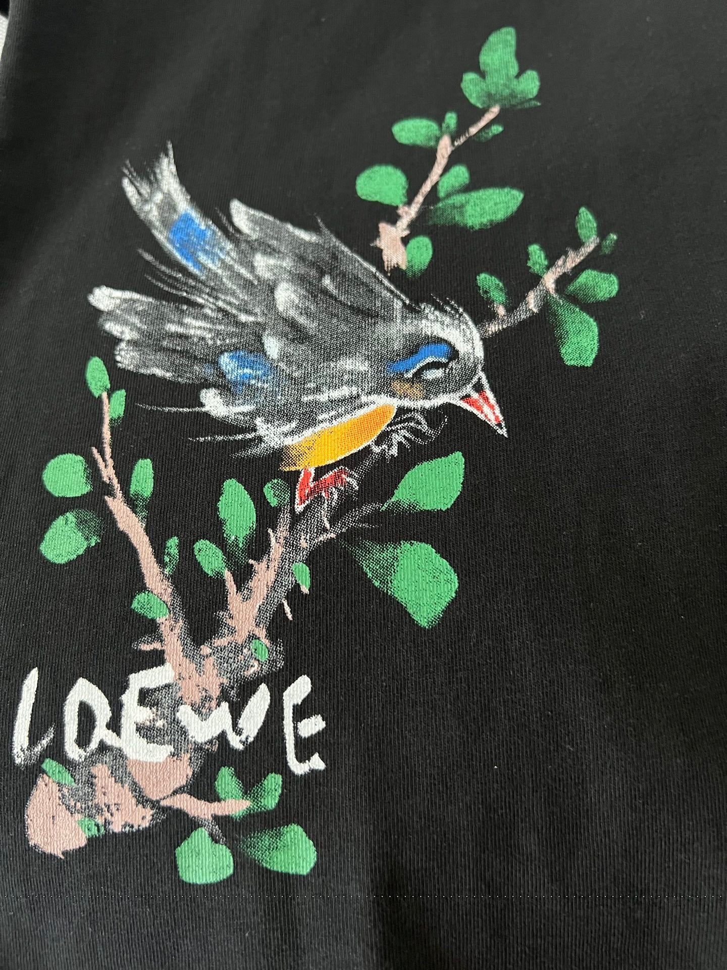 LuxluxHouse Best Quality Clothes T-shirt Loewe