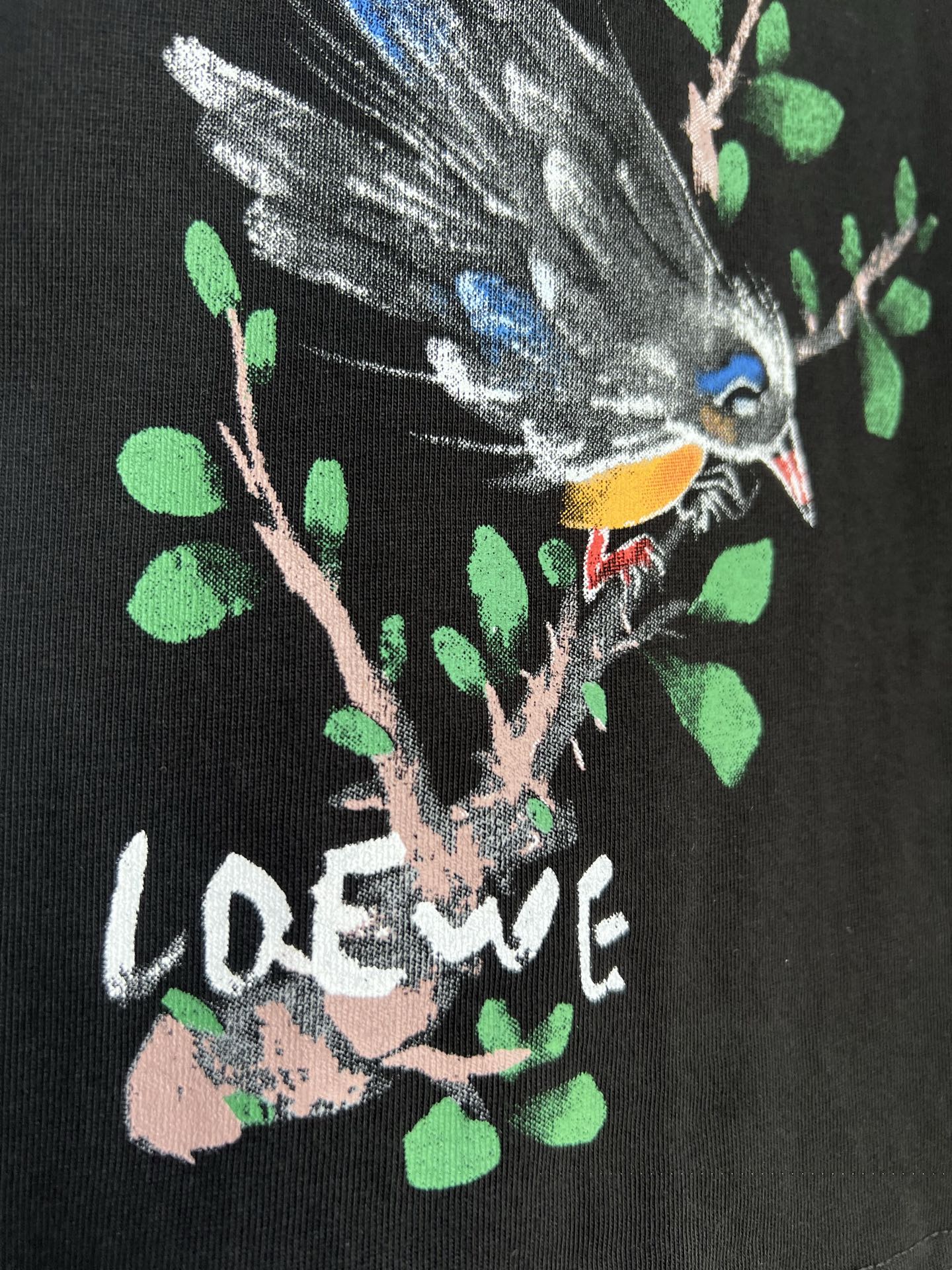 LuxluxHouse Best Quality Clothes T-shirt Loewe