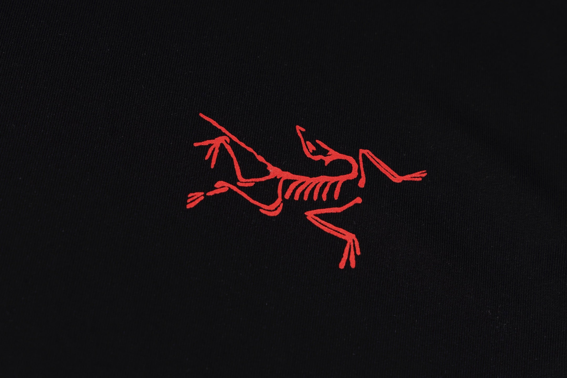 LuxluxHouse Best Quality Clothes T-shirt Arcteryx