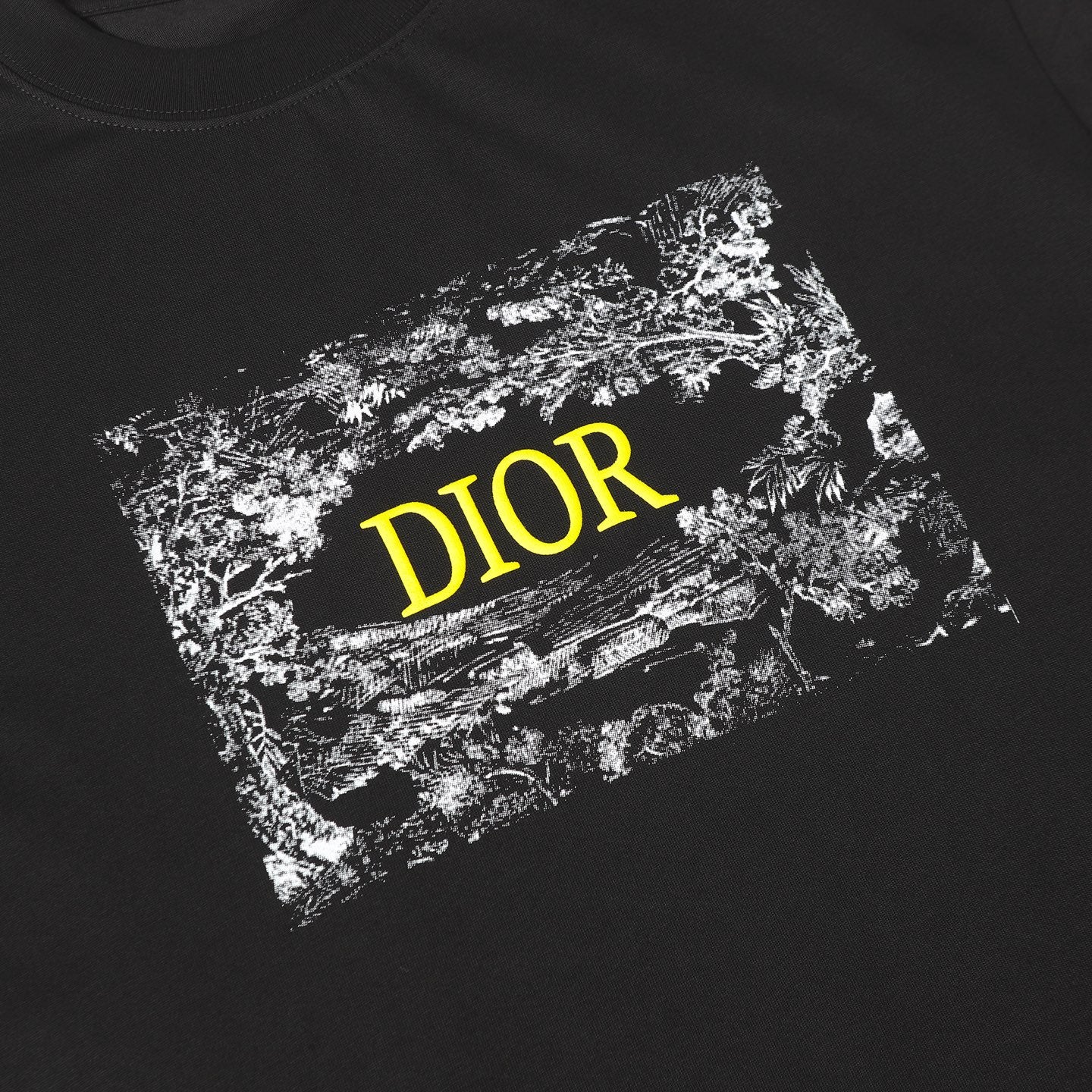 LuxluxHouse Best Quality Clothes T-shirt Dior