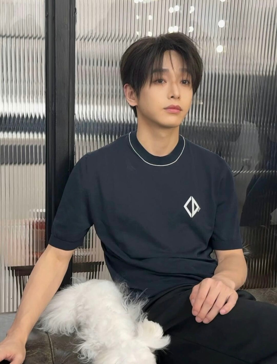 LuxluxHouse Best Quality Clothes T-shirt Dior