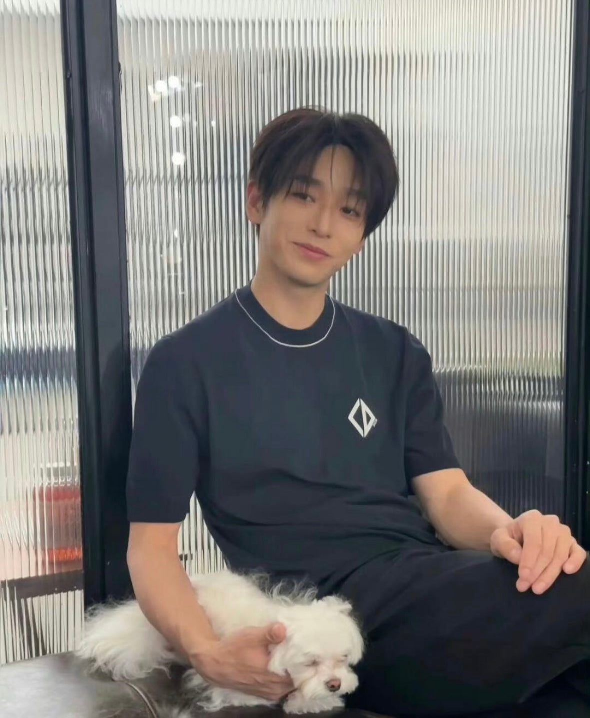 LuxluxHouse Best Quality Clothes T-shirt Dior