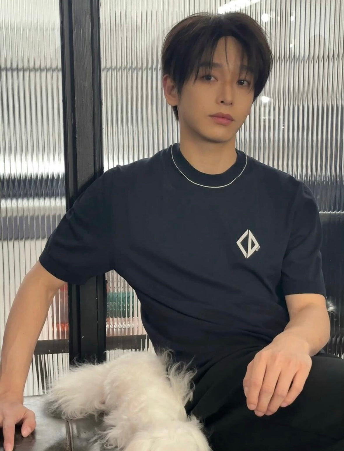 LuxluxHouse Best Quality Clothes T-shirt Dior