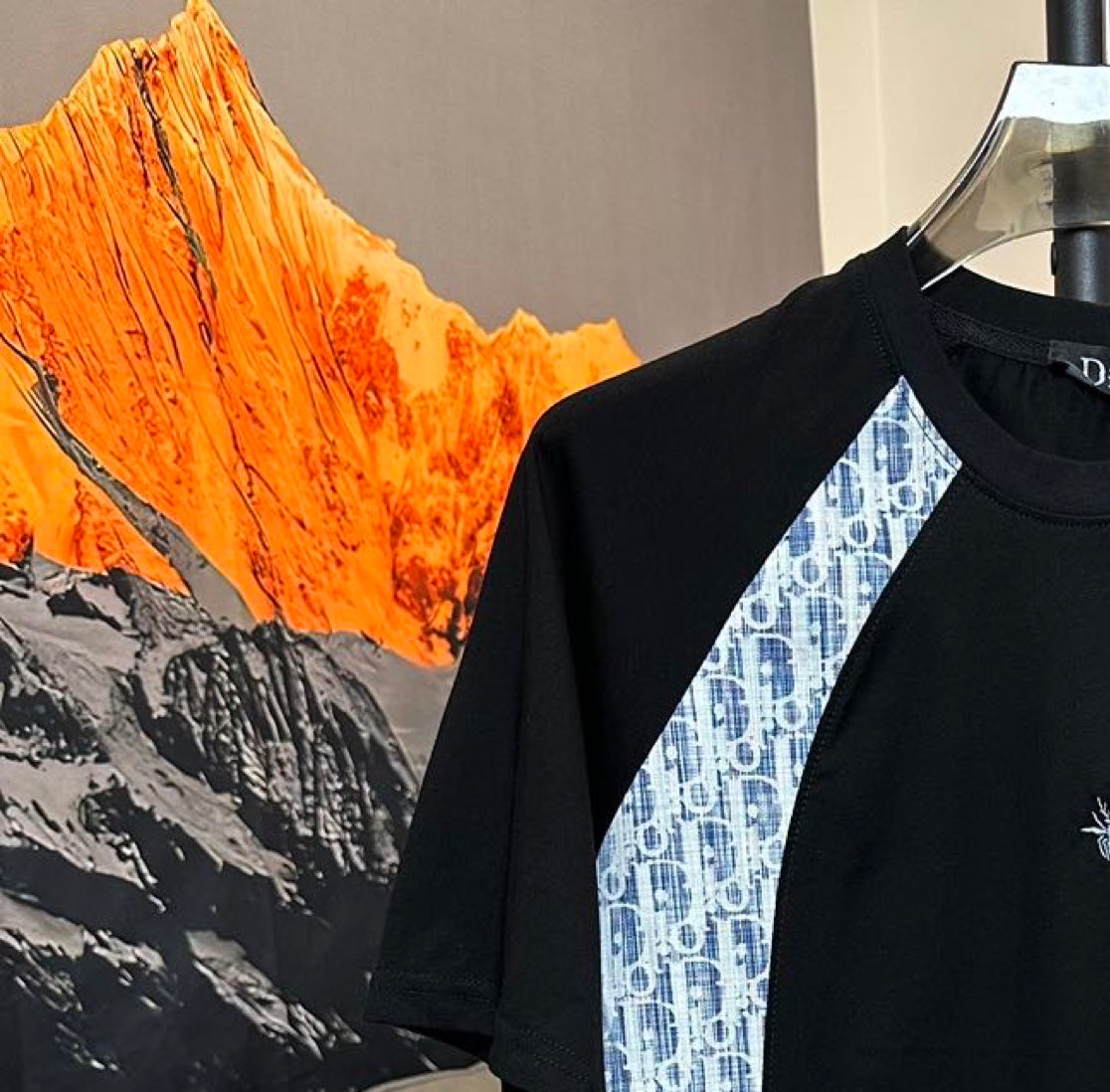 LuxluxHouse Best Quality Clothes T-shirt Dior