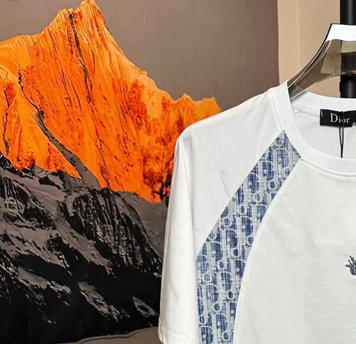 LuxluxHouse Best Quality Clothes T-shirt Dior