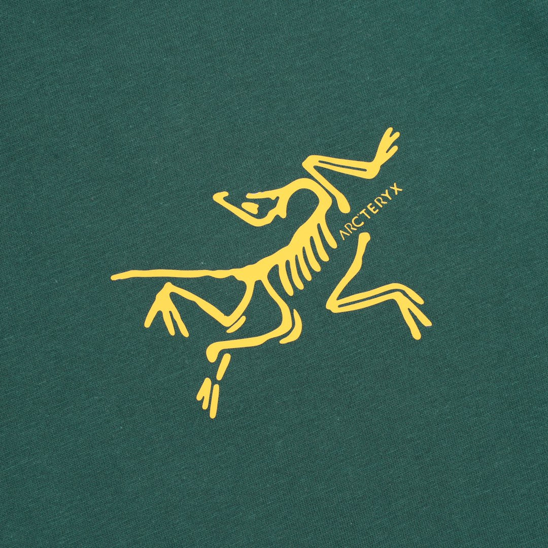 LuxluxHouse Best Quality Clothes T-shirt Arcteryx