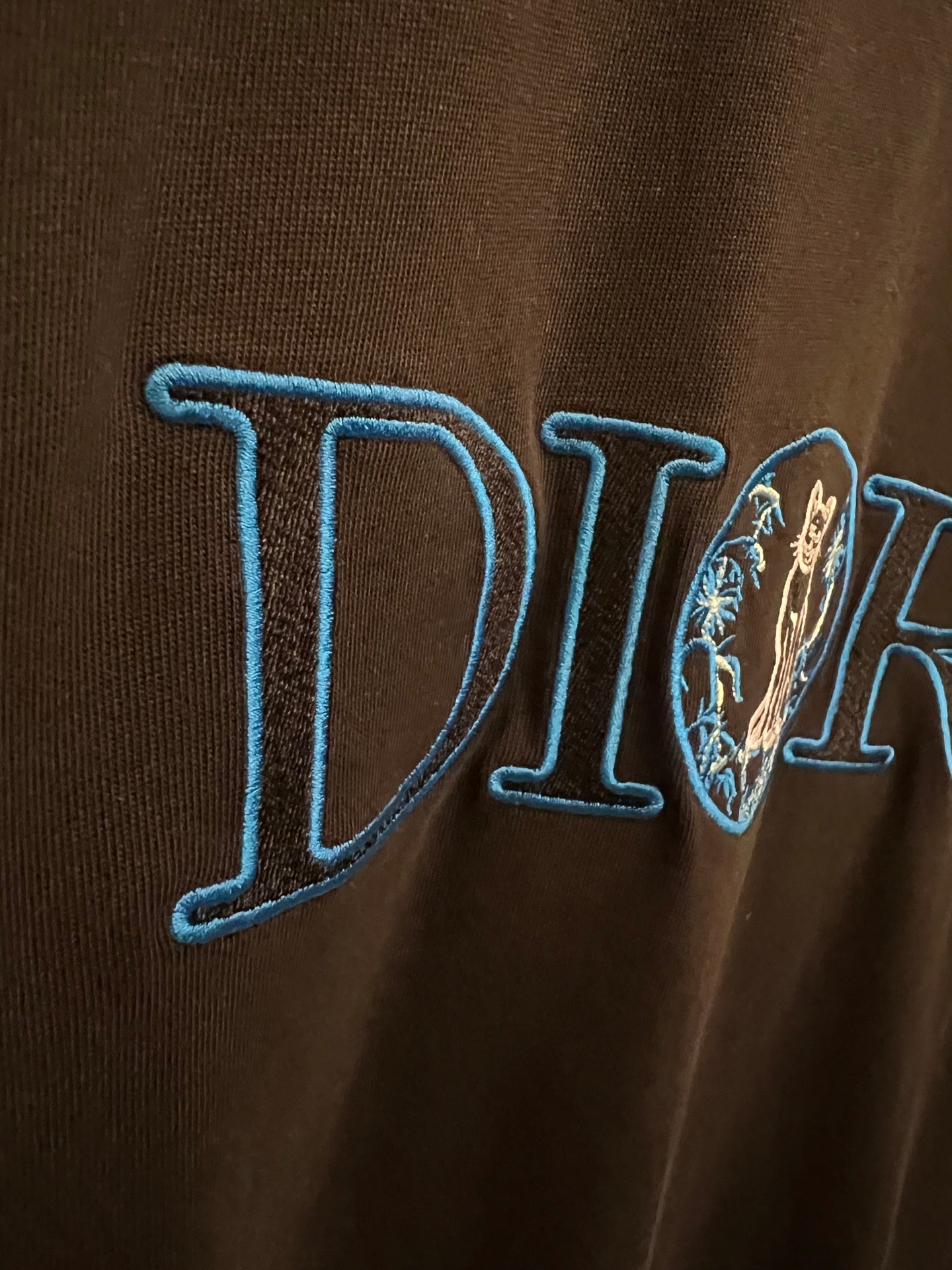 LuxluxHouse Best Quality Clothes T-shirt Dior