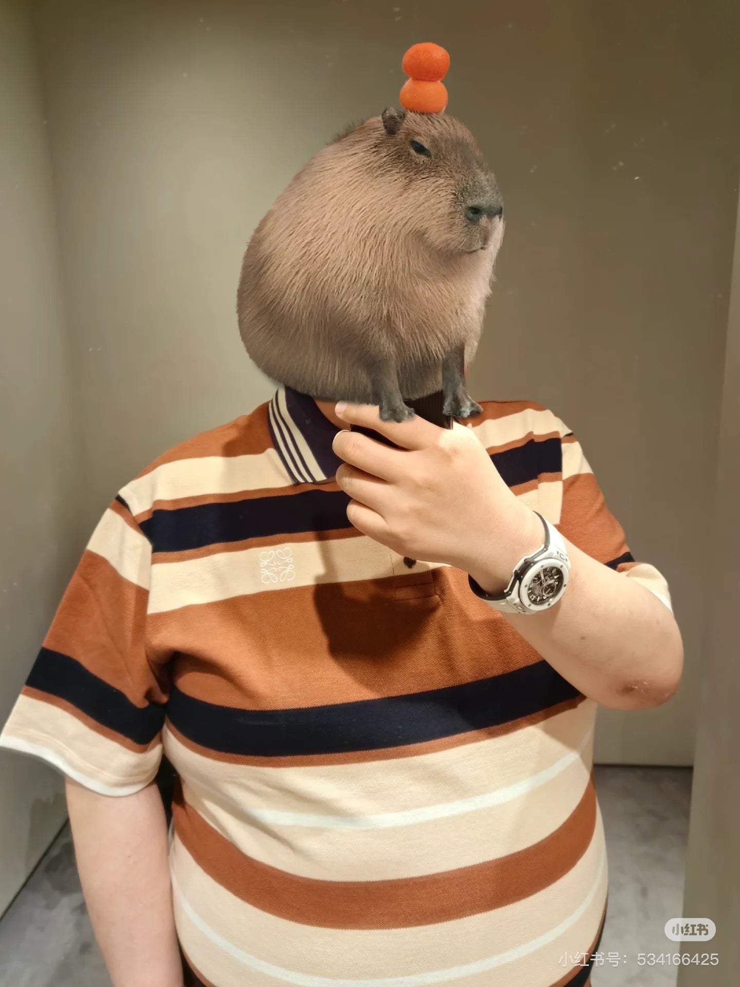 LuxluxHouse Best Quality Clothes Shirts&Polo Loewe