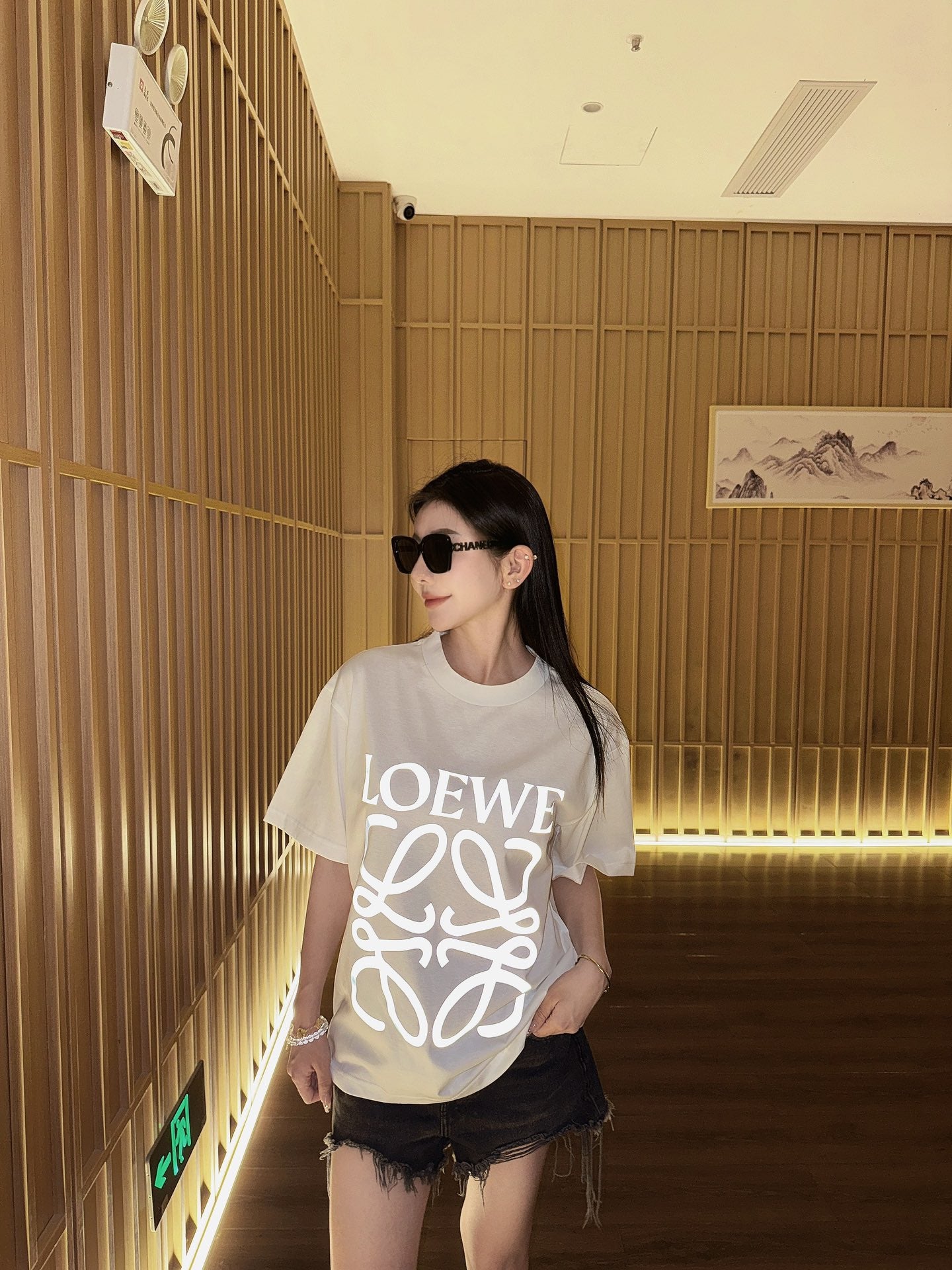 LuxluxHouse Best Quality Clothes T-shirt Loewe