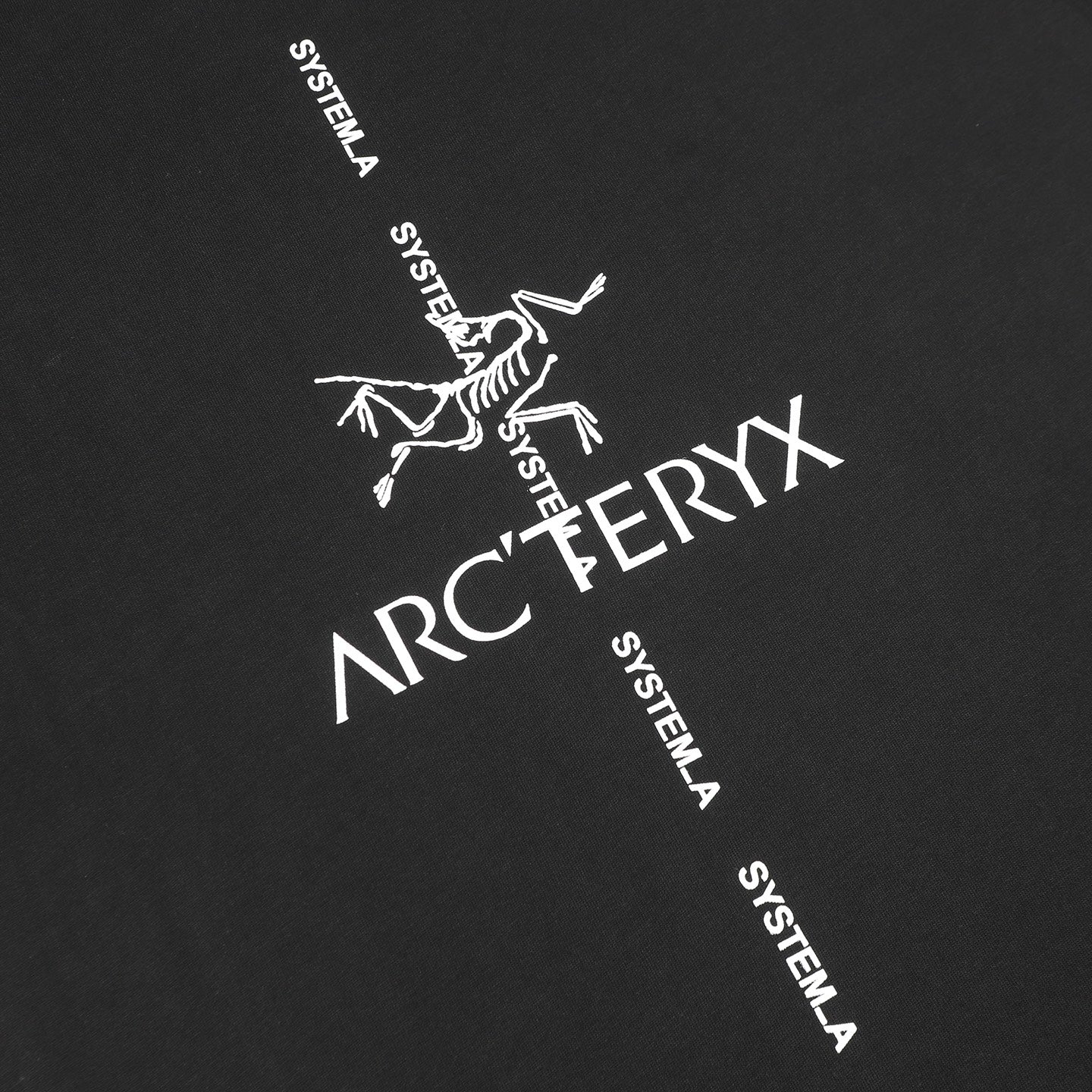 LuxluxHouse Best Quality Clothes T-shirt Arcteryx