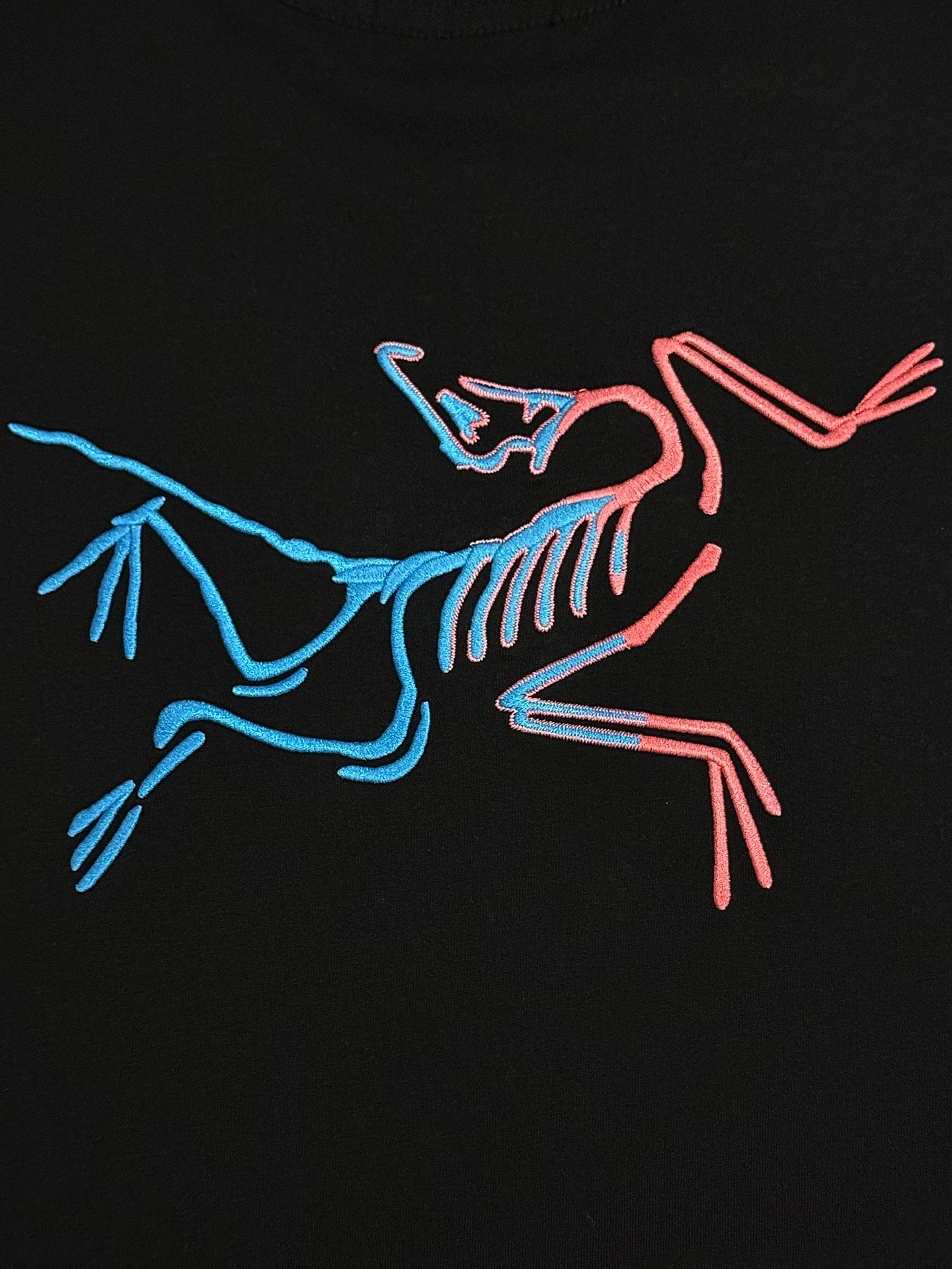 LuxluxHouse Best Quality Clothes T-shirt Arcteryx