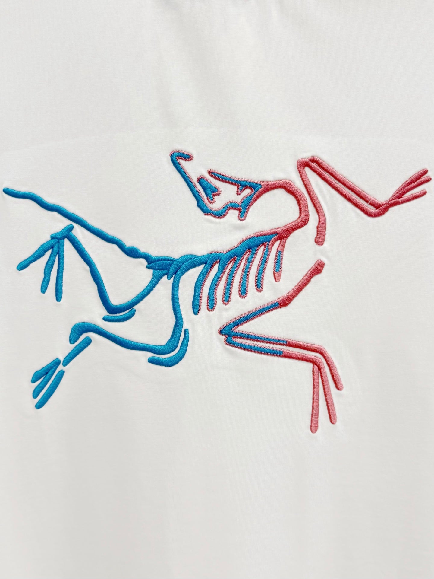 LuxluxHouse Best Quality Clothes T-shirt Arcteryx